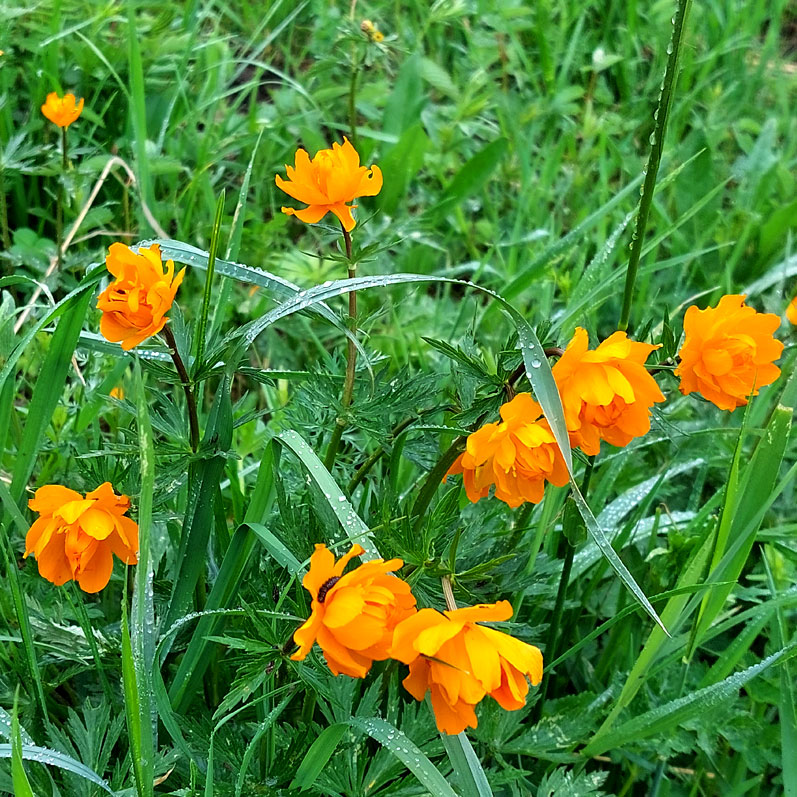 Путешествие на Алтай. 25 локаций за 8 дней (49/130)