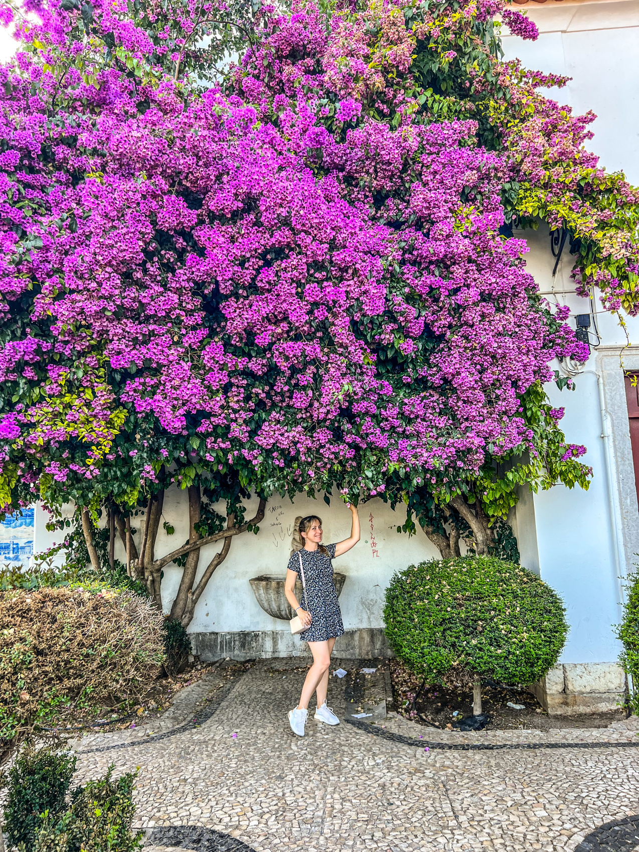 Неповторимая Португалия. Полное погружение. (14/68)