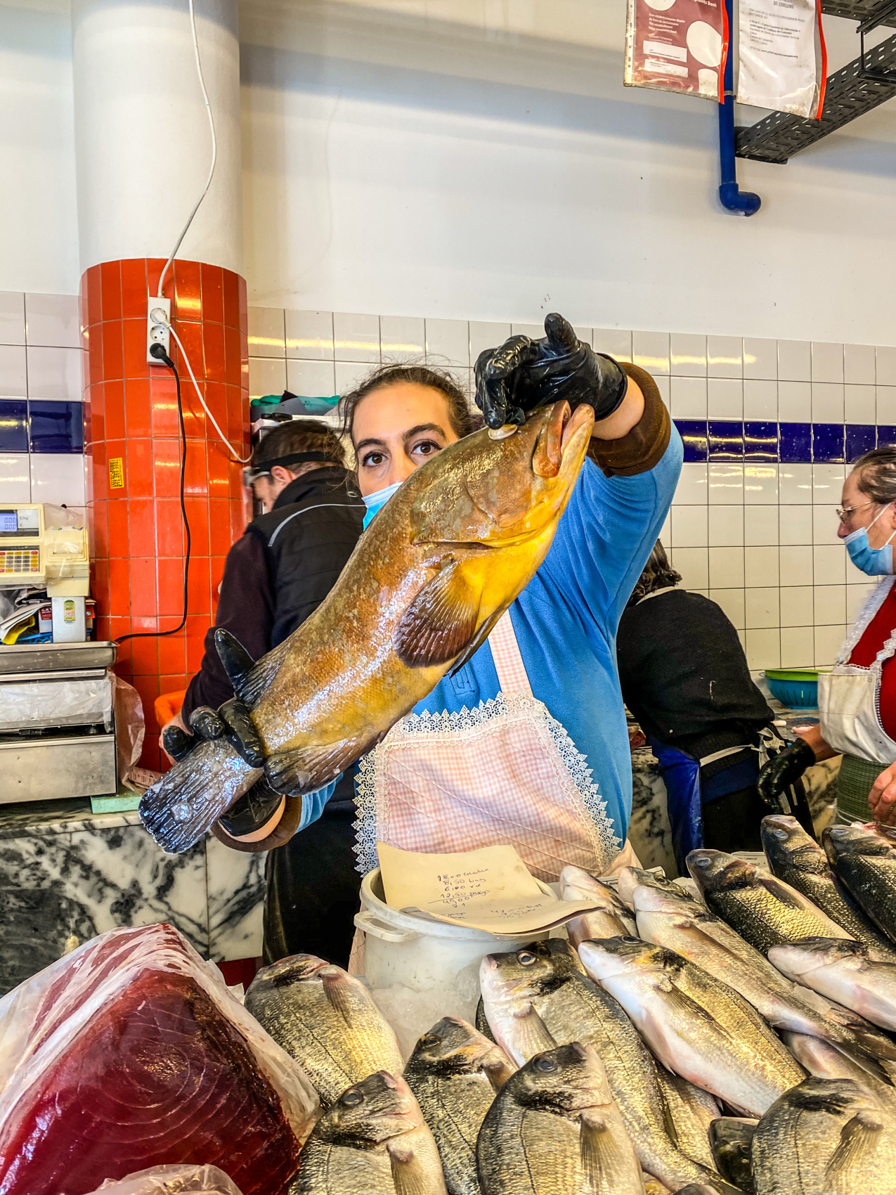 Неповторимая Португалия. Полное погружение. (50/68)