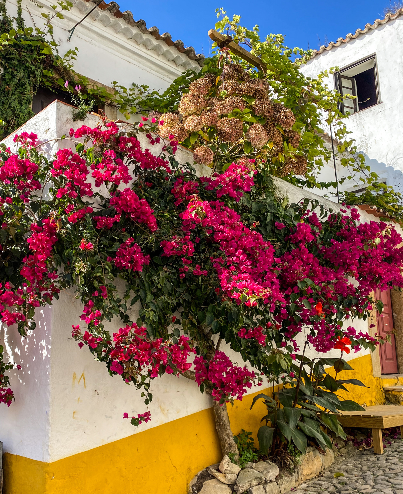 Неповторимая Португалия. Полное погружение. (26/68)