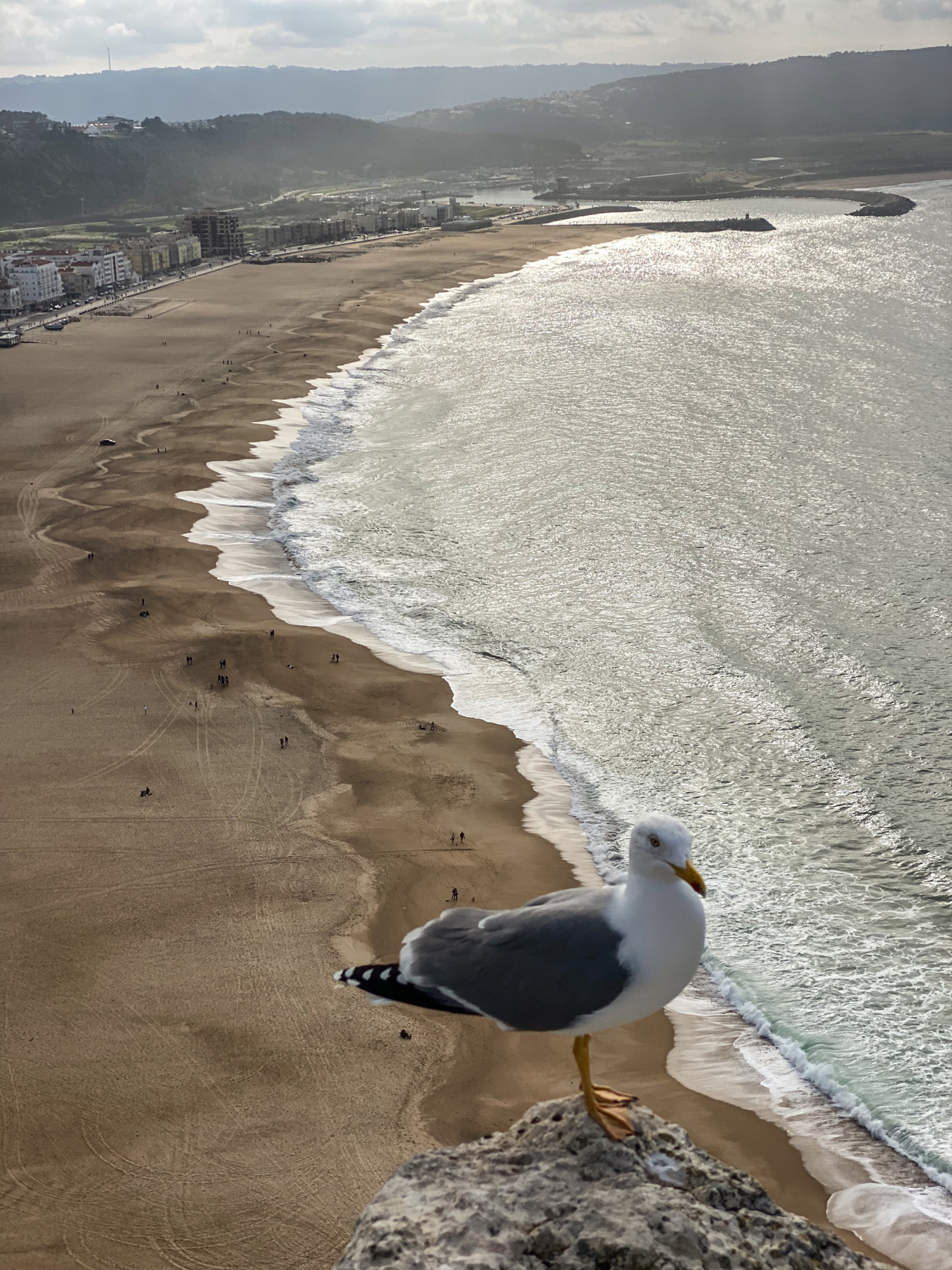 Неповторимая Португалия. Полное погружение. (27/68)