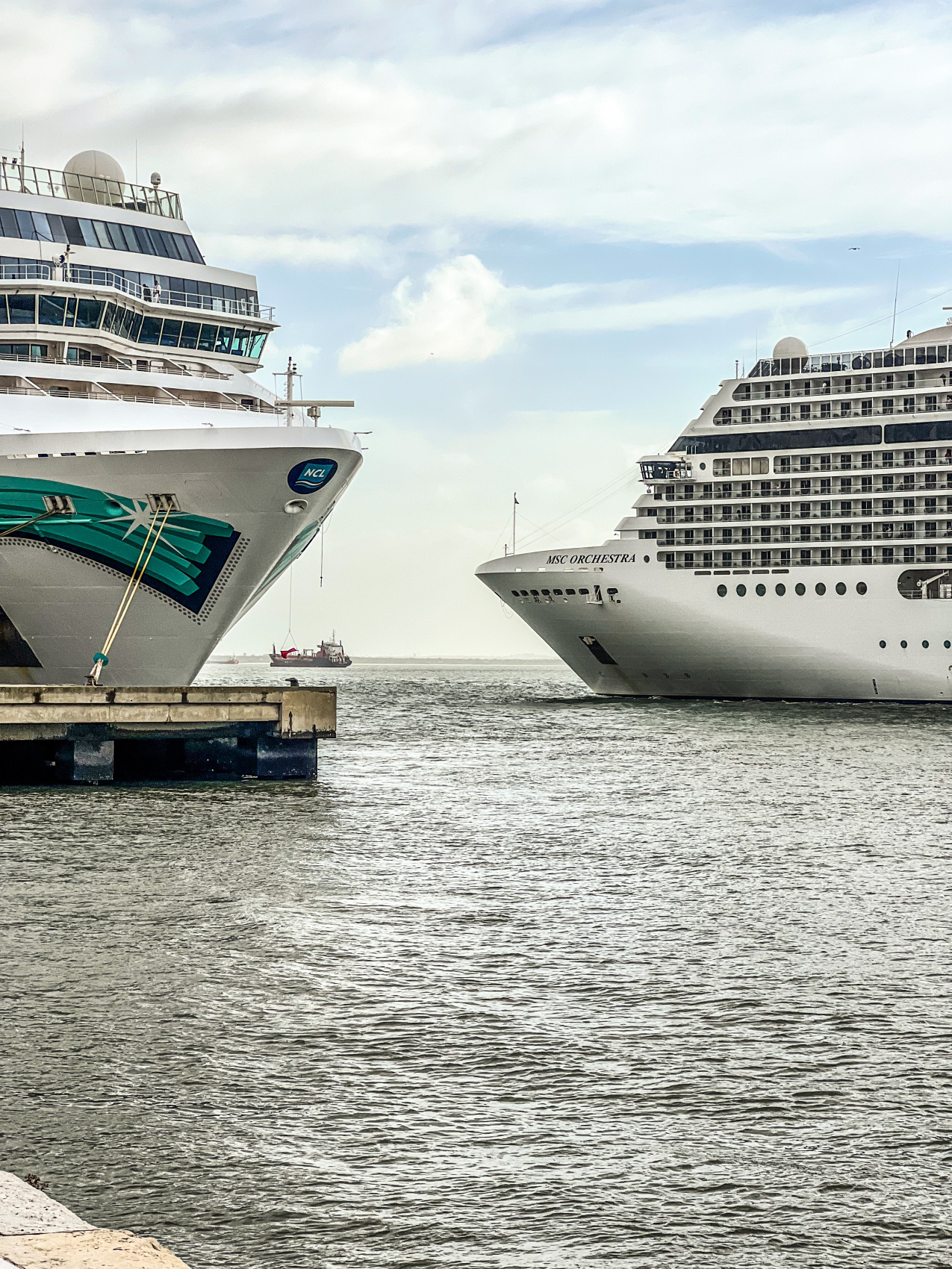 Неповторимая Португалия. Полное погружение. (9/68)