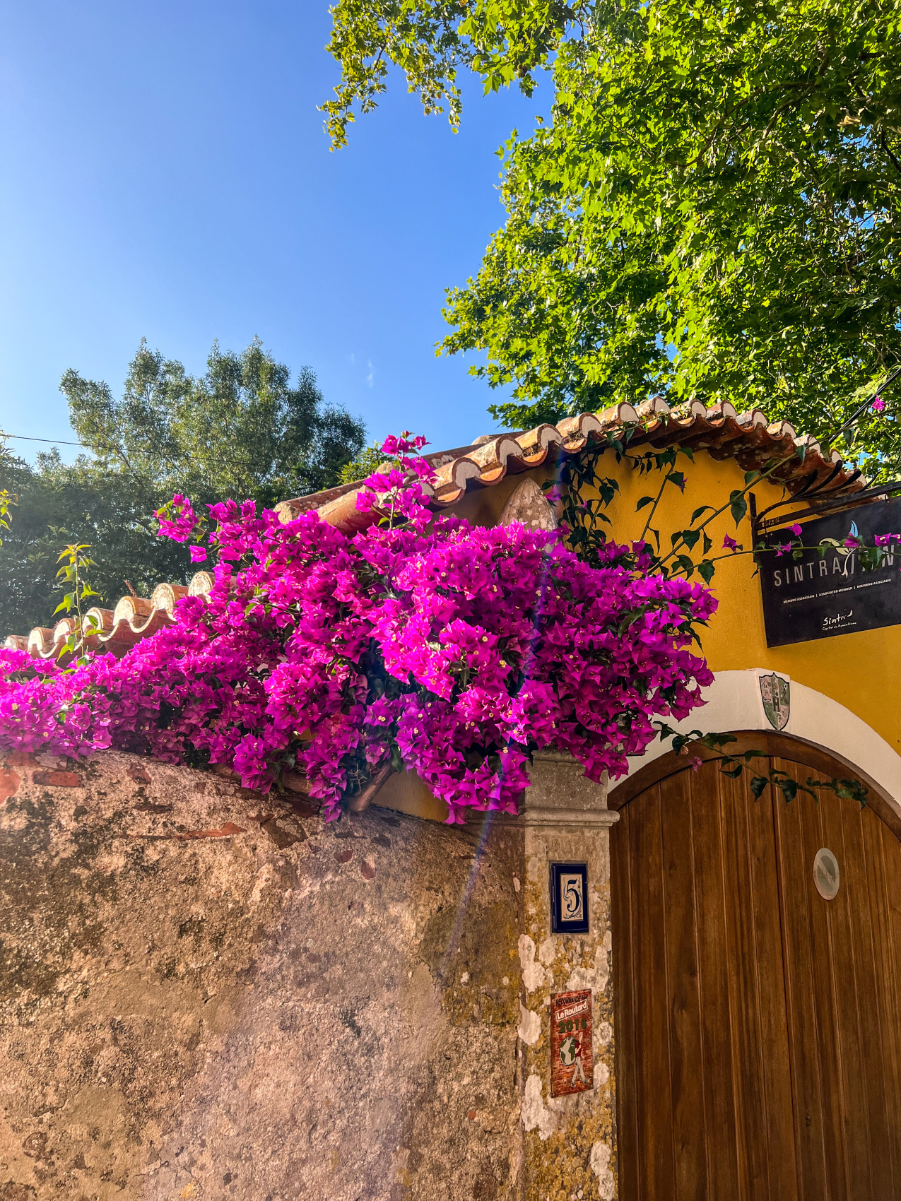 Неповторимая Португалия. Полное погружение. (19/68)