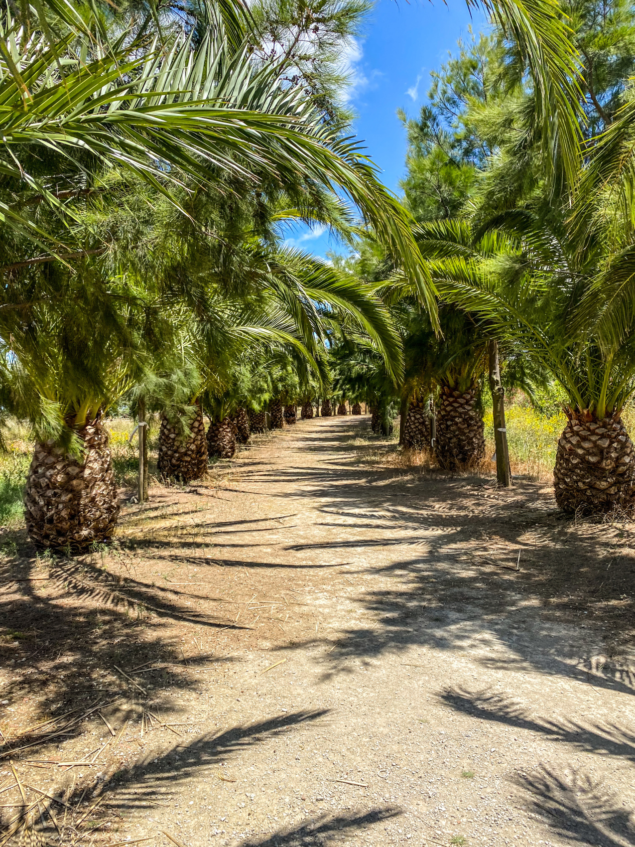 Неповторимая Португалия. Полное погружение. (5/68)