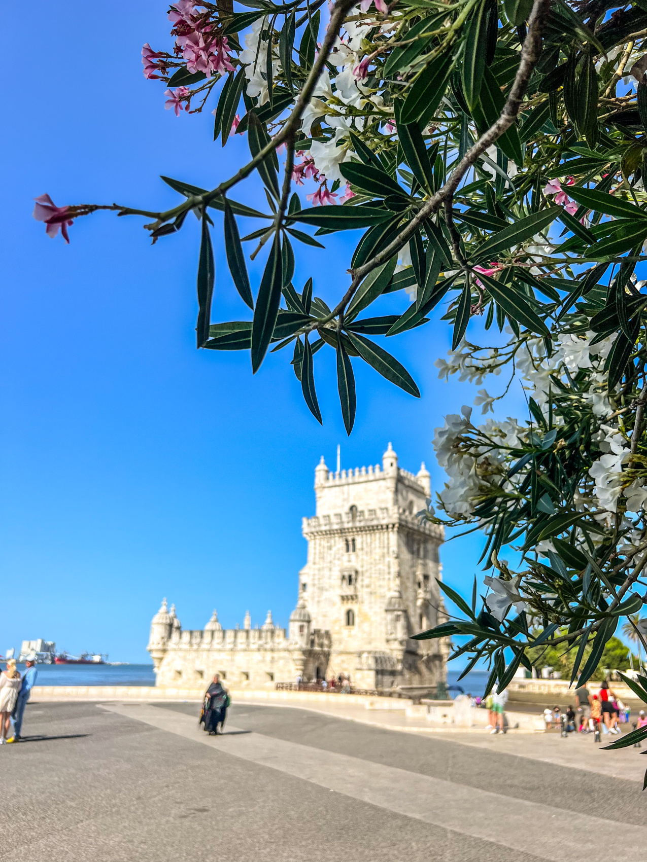 Неповторимая Португалия. Полное погружение. (6/68)