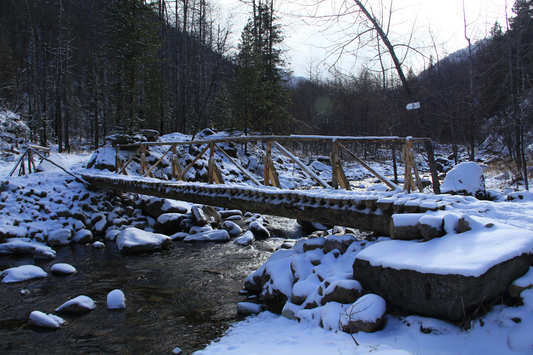 Кругобайкалка + Горы Хамар-Дабана (28/33)