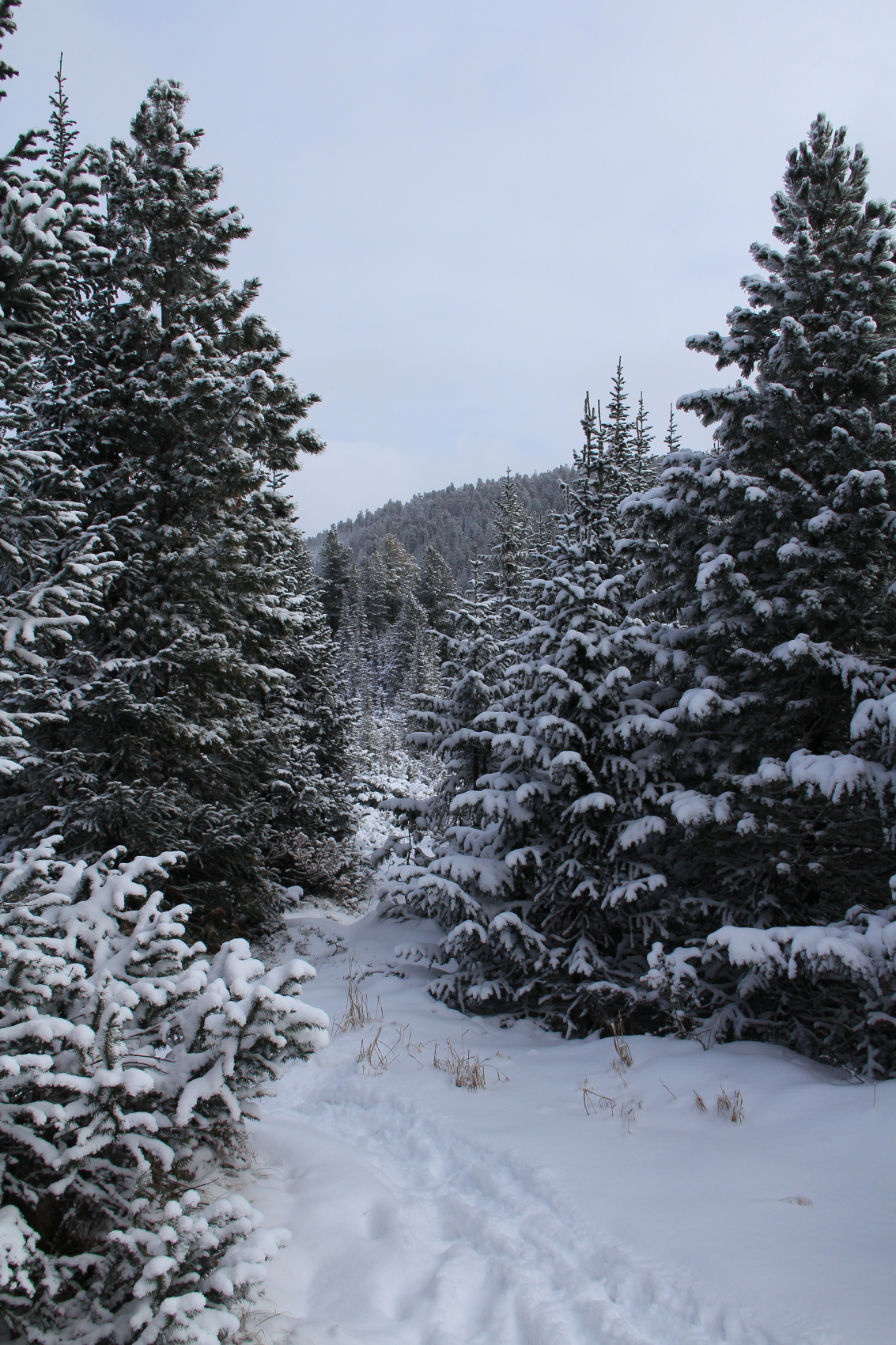 Кругобайкалка + Горы Хамар-Дабана (23/33)