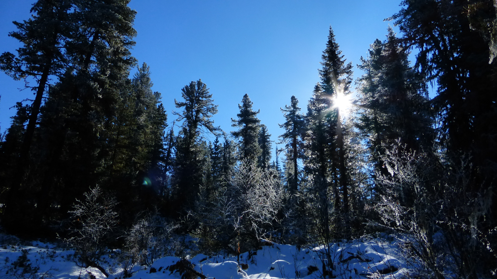 Кругобайкалка + Горы Хамар-Дабана (31/33)