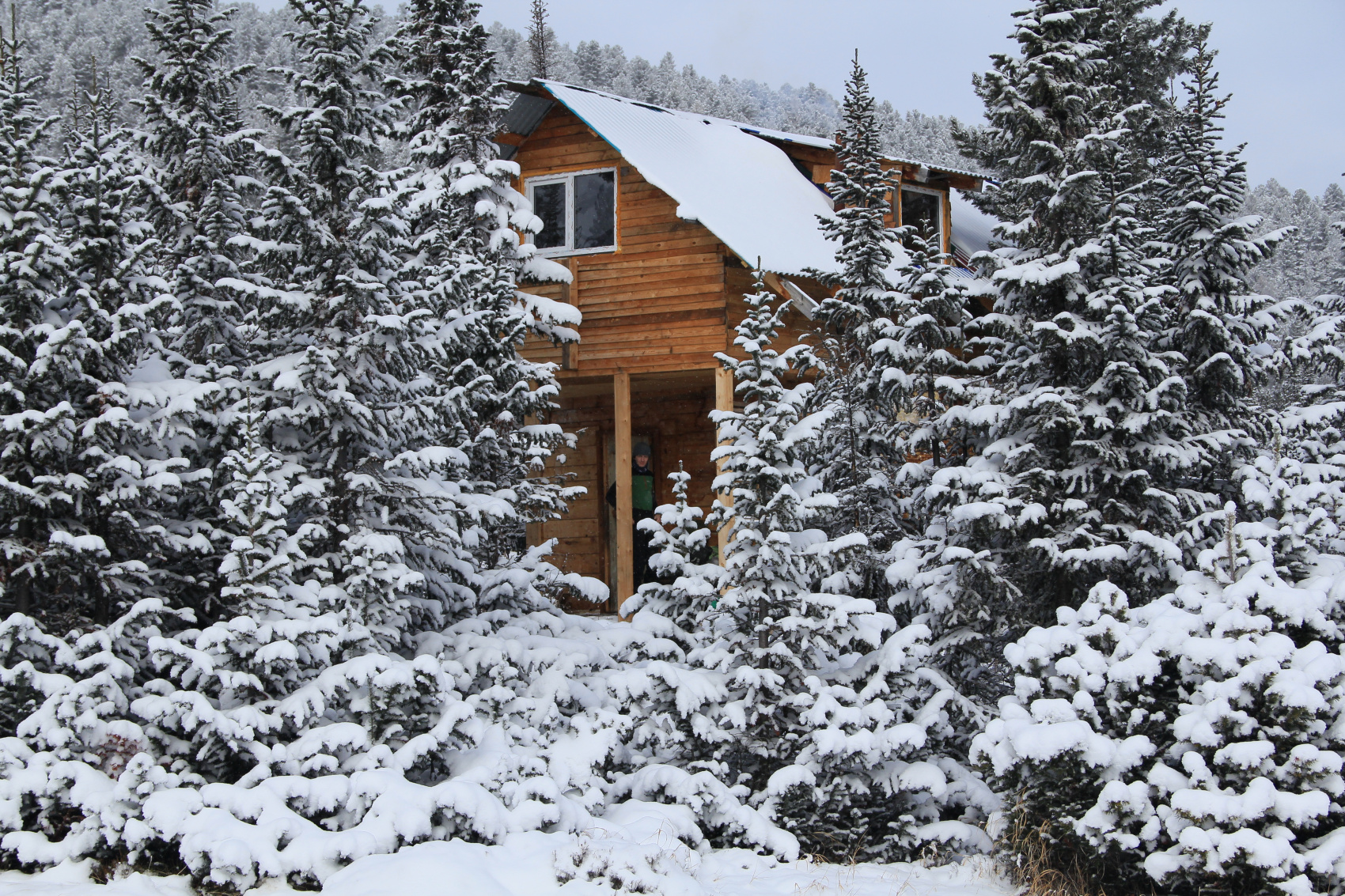 Кругобайкалка + Горы Хамар-Дабана (6/33)