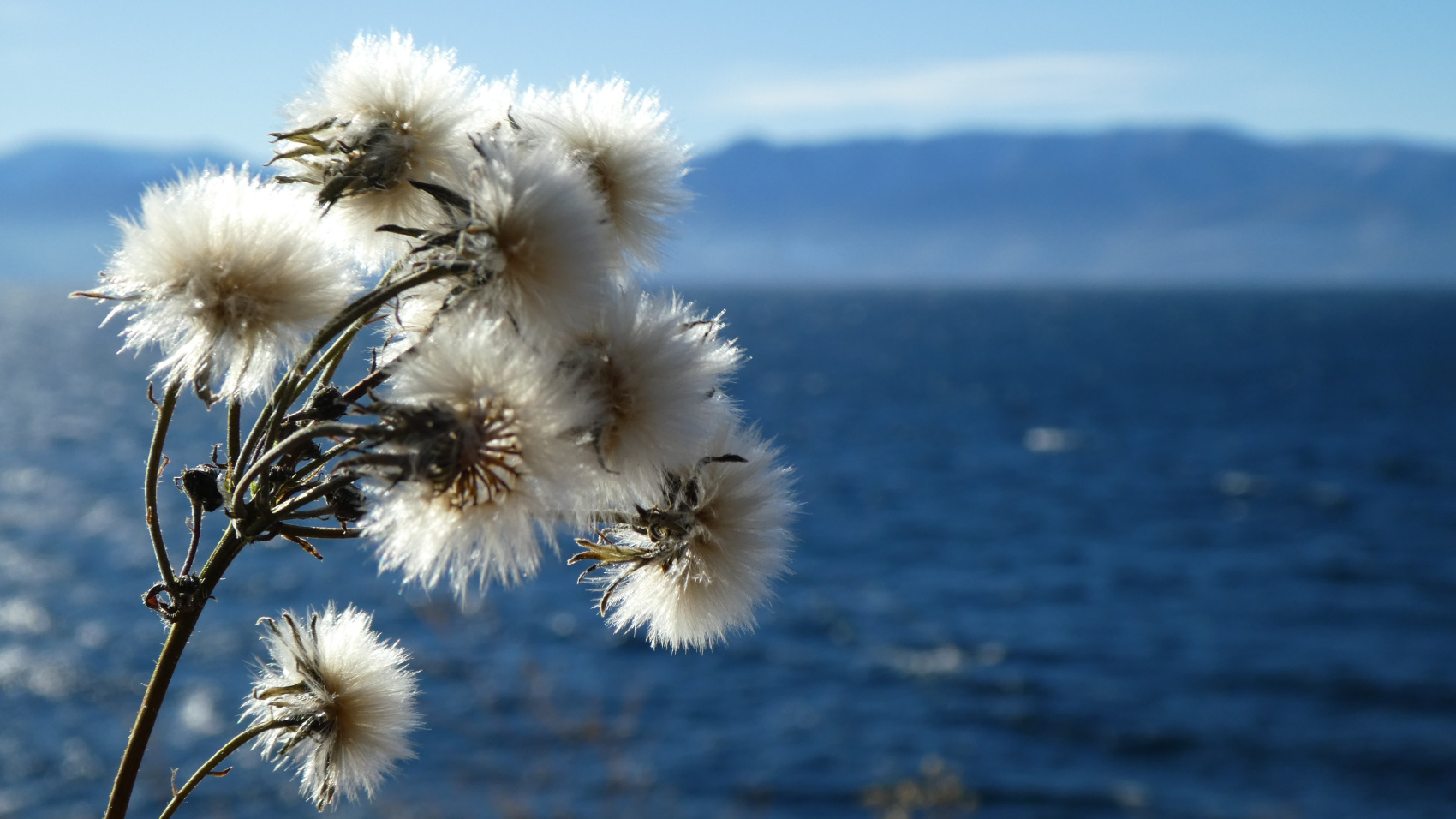 Кругобайкалка + Горы Хамар-Дабана (9/33)