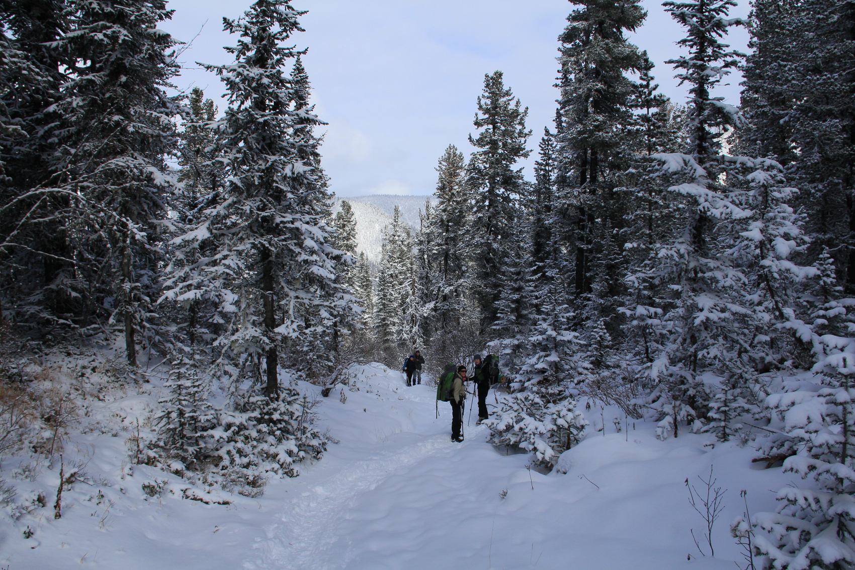 Кругобайкалка + Горы Хамар-Дабана (25/33)