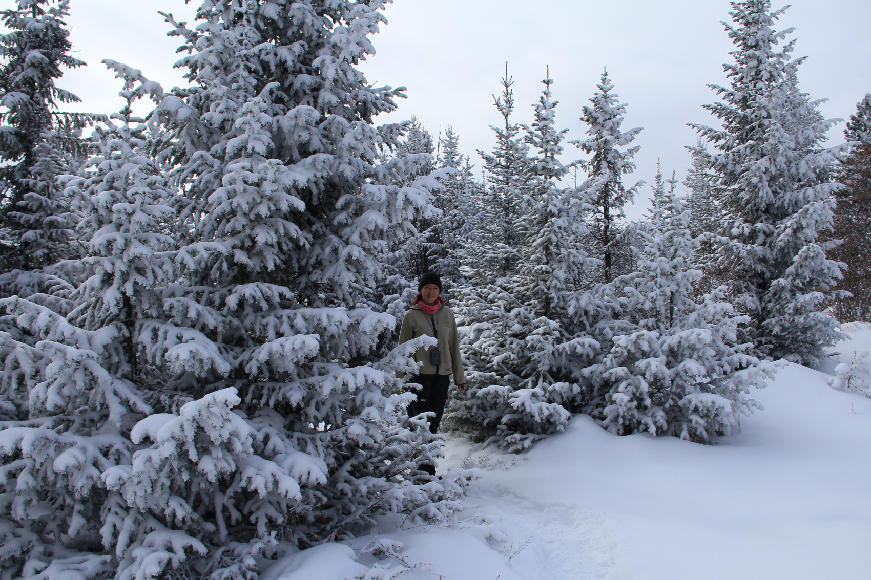 Кругобайкалка + Горы Хамар-Дабана (24/33)