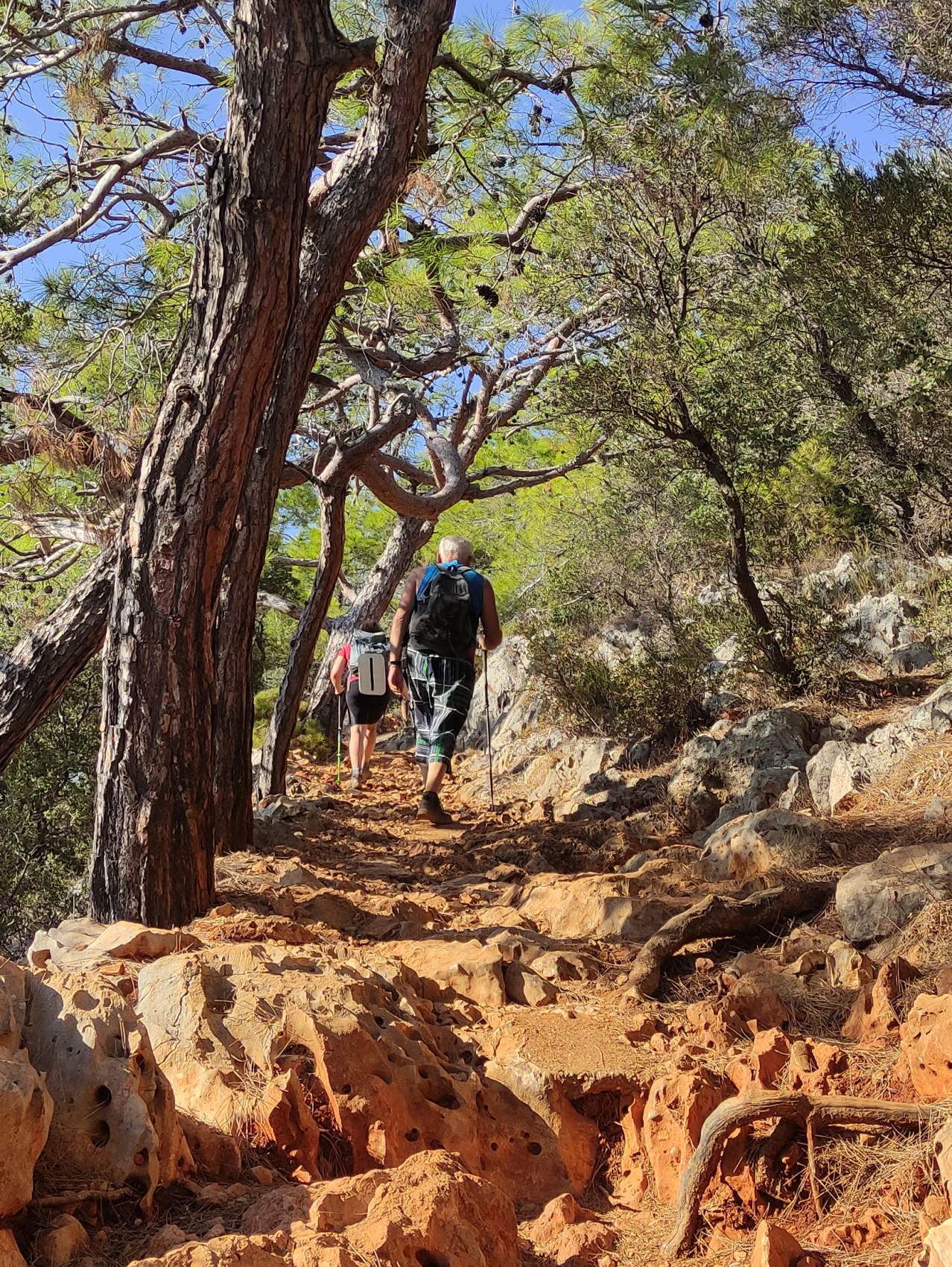 Промо-тур. Ликийская тропа: комфортный трекинг без палаток и рюкзаков (3/52)