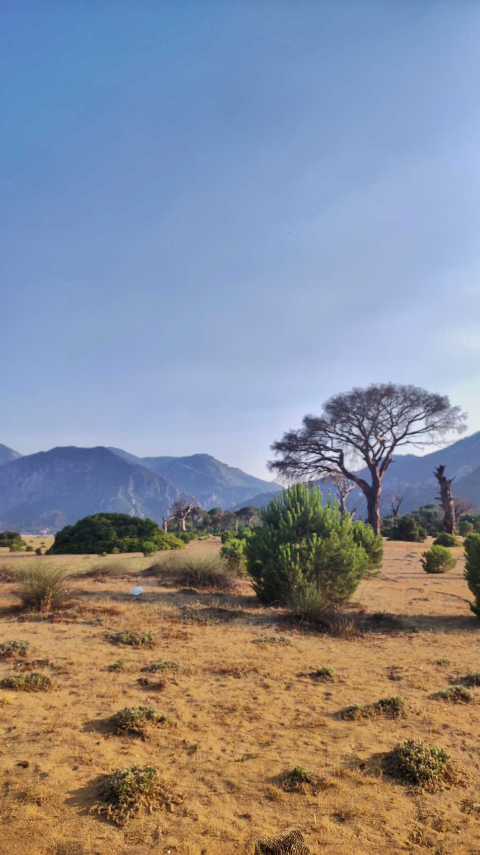 Промо-тур. Ликийская тропа: комфортный трекинг без палаток и рюкзаков (20/52)