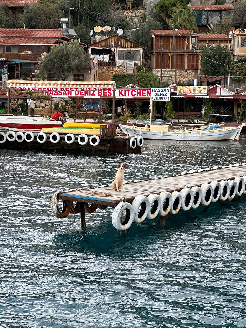 Промо-тур. Ликийская тропа: комфортный трекинг без палаток и рюкзаков (27/52)