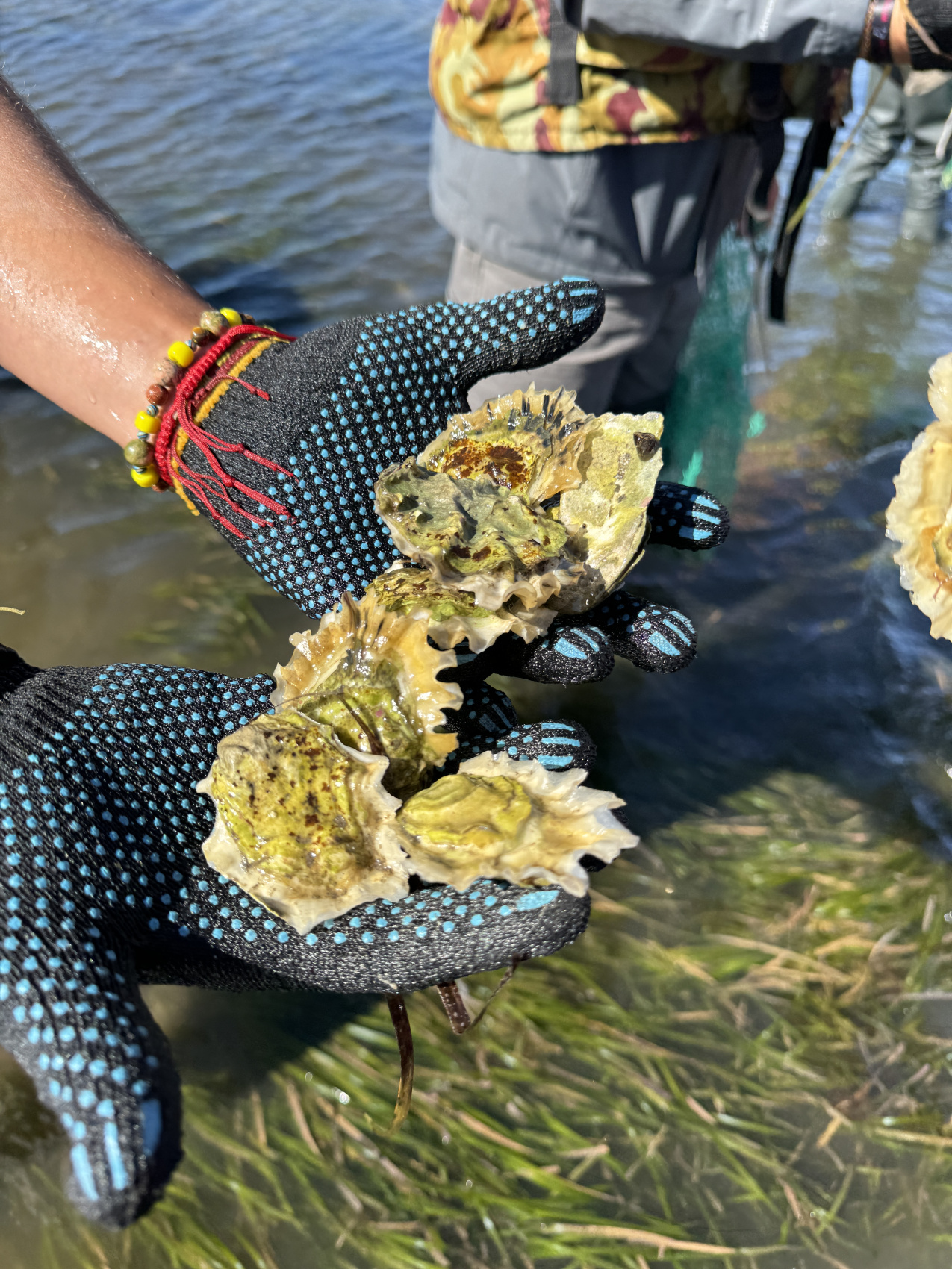 Активный тур на Сахалин и Итуруп (15/32)