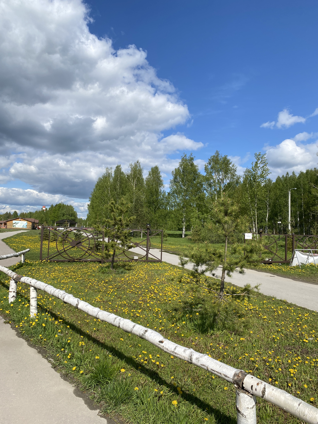 РЯЗАНЬ, ТУР НА ЛЫЖЕРОЛЛЕРАХ (6/18)