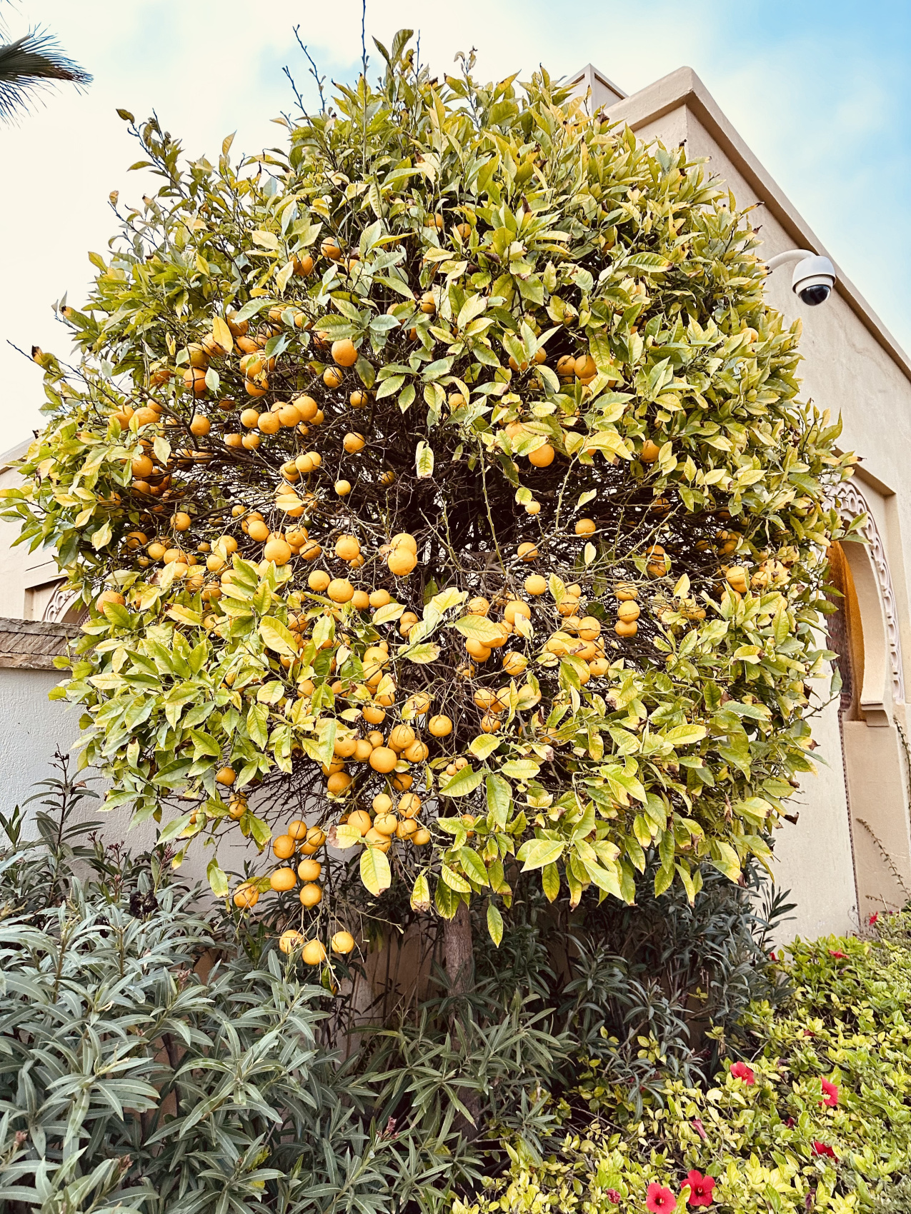 Яркие краски Марокко + отдых на пляжах Агадира (С Авиаперелетом!) (7/10)