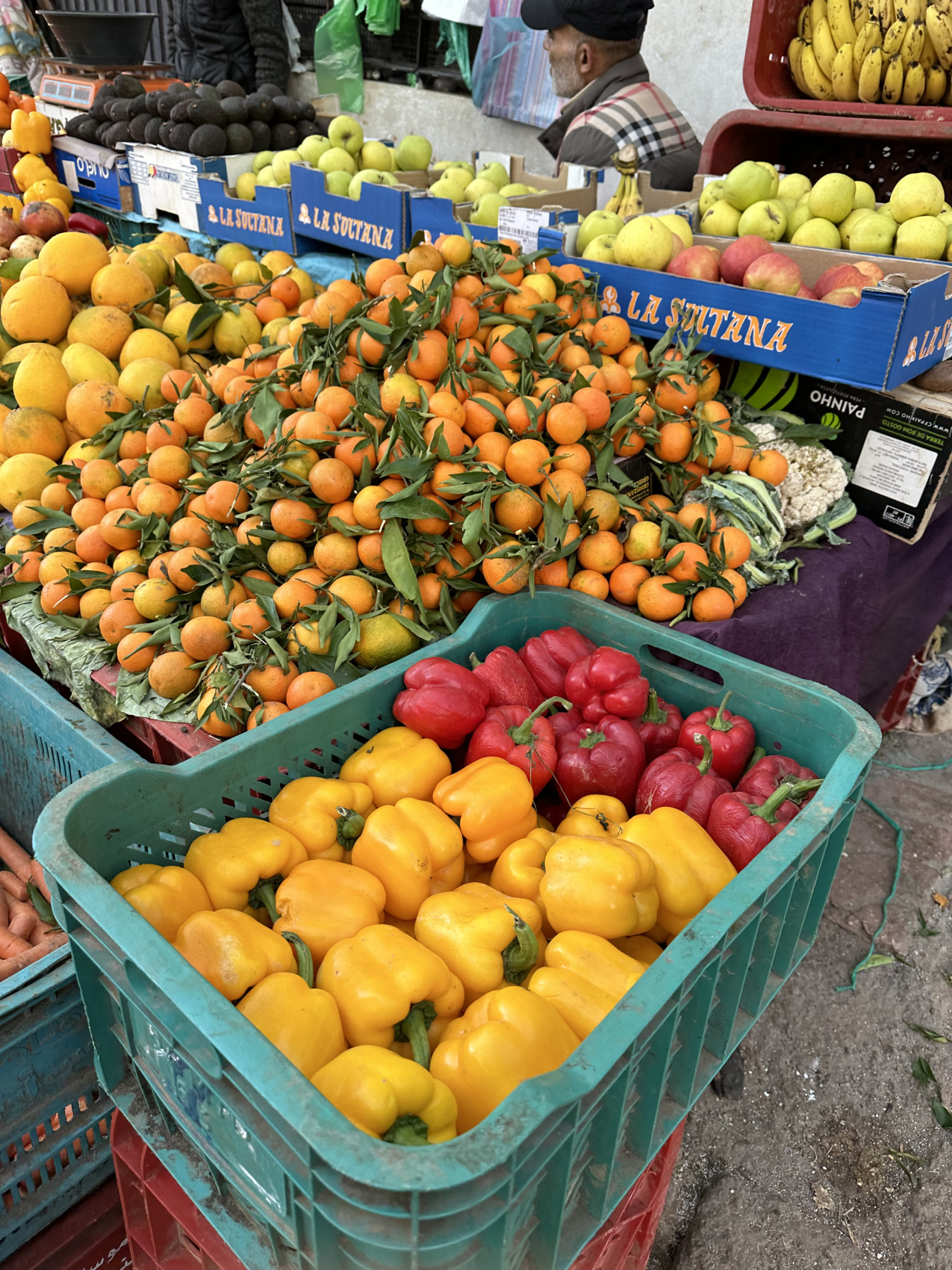 Яркие краски Марокко + отдых на пляжах Агадира (С Авиаперелетом!) (9/10)