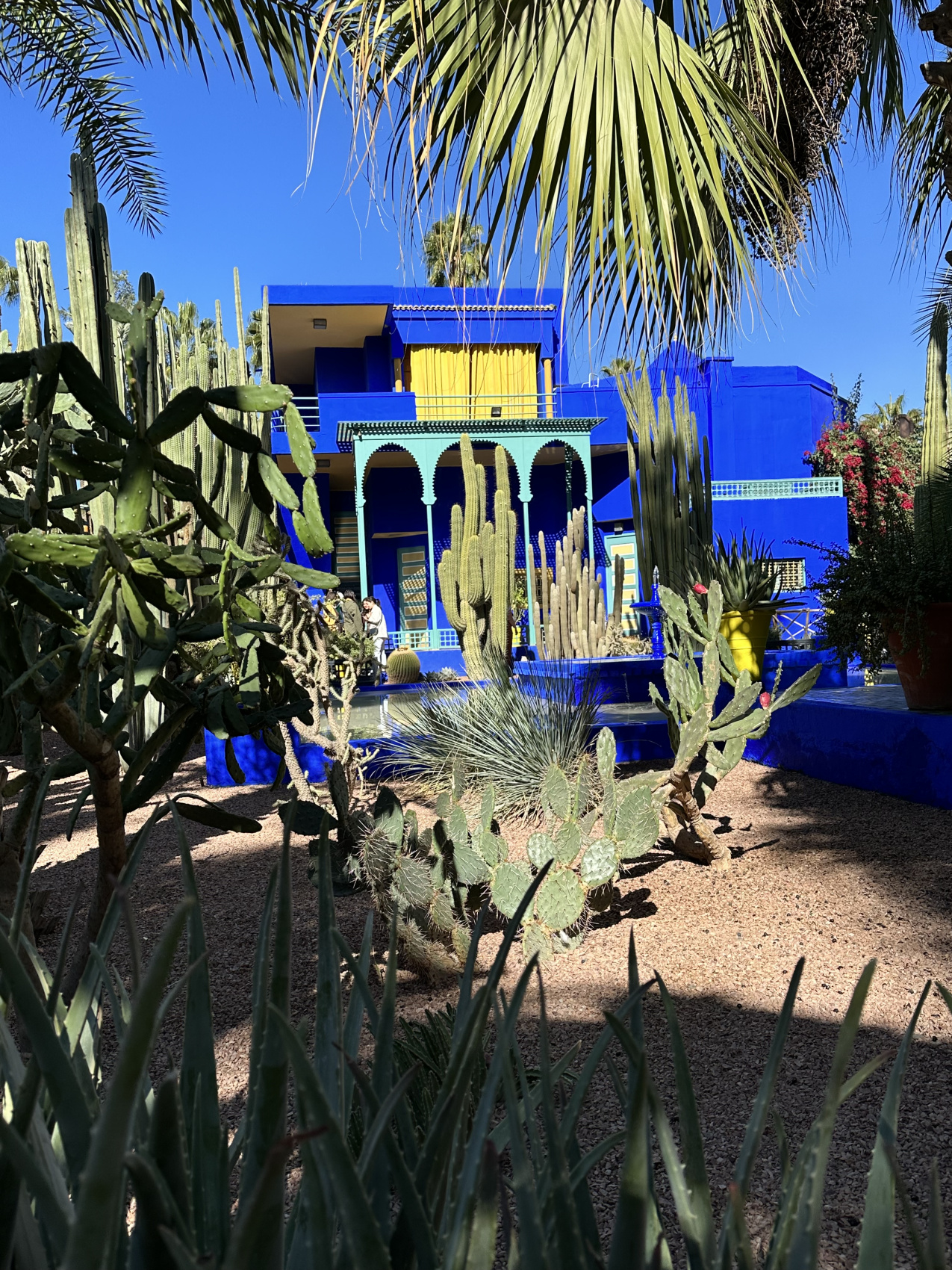 Яркие краски Марокко + отдых на пляжах Агадира (С Авиаперелетом!) (5/10)