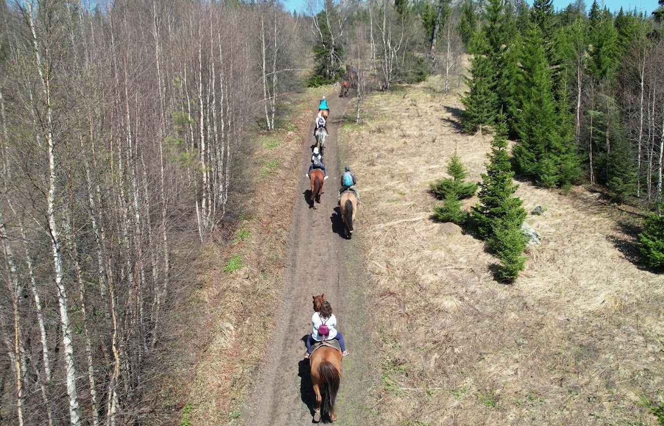 Джипинг-конный мультитур 3 дня/2 ночи (5/9)