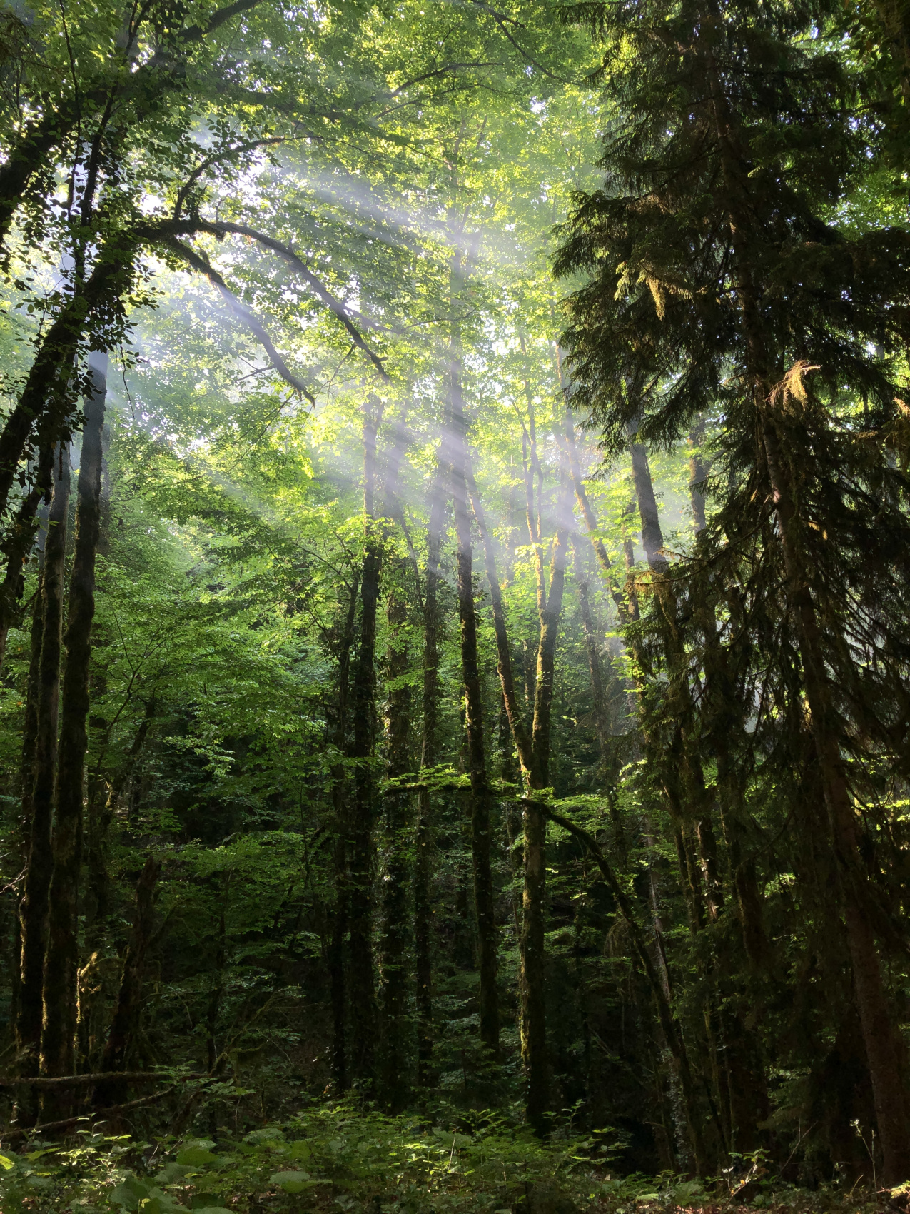 Поход Затерянный мир в Псху с вылетом на самолете Ан-2 (4/46)