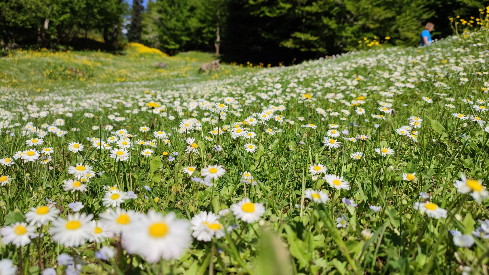 Поход Затерянный мир в Псху с вылетом на самолете Ан-2 (16/46)