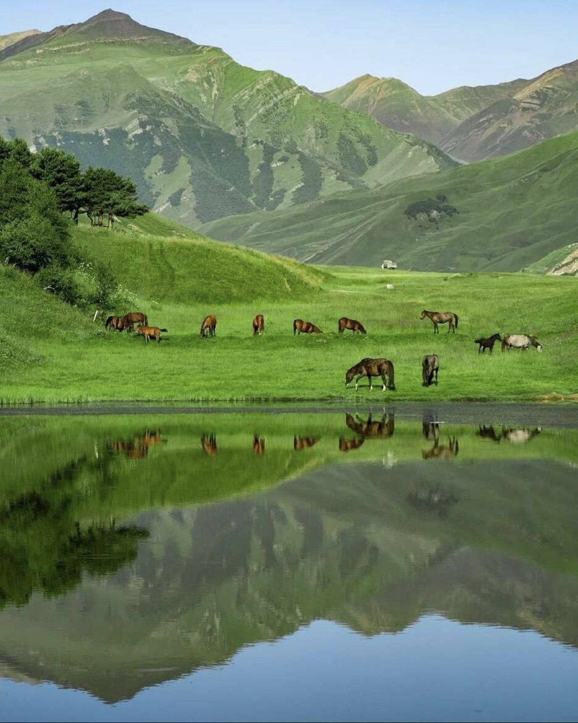 Дагестан-Все Включено-2 (10/23)