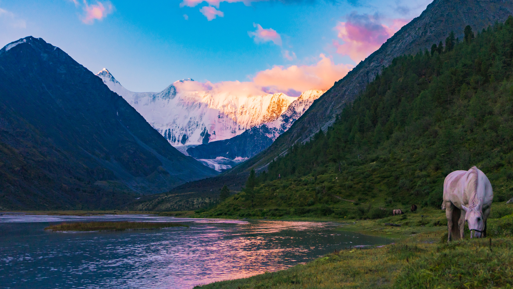 Треккинг к подножию Белухи налегке, с конным сопровождением (19/69)