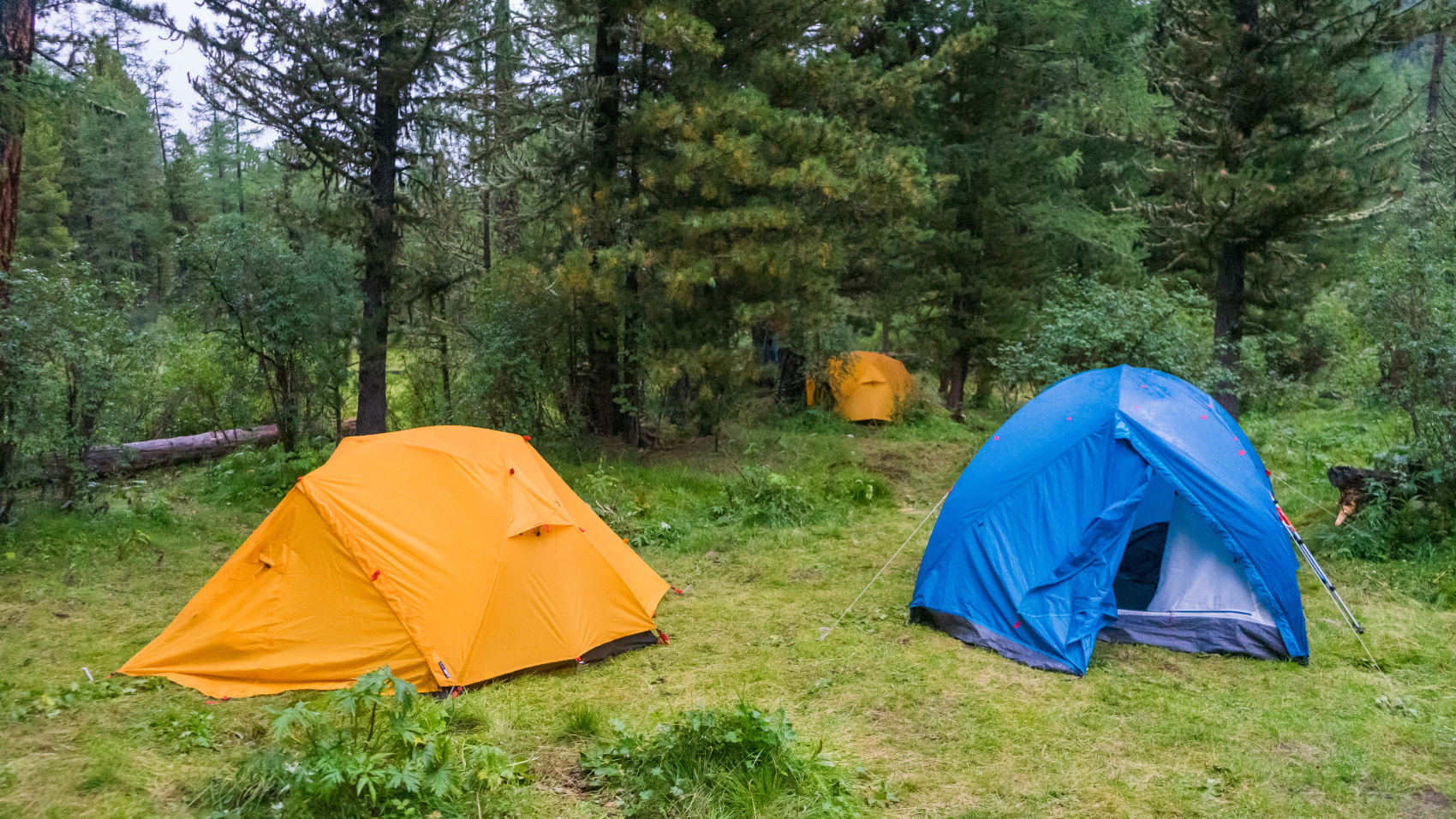Треккинг к подножию Белухи налегке, с конным сопровождением (15/69)