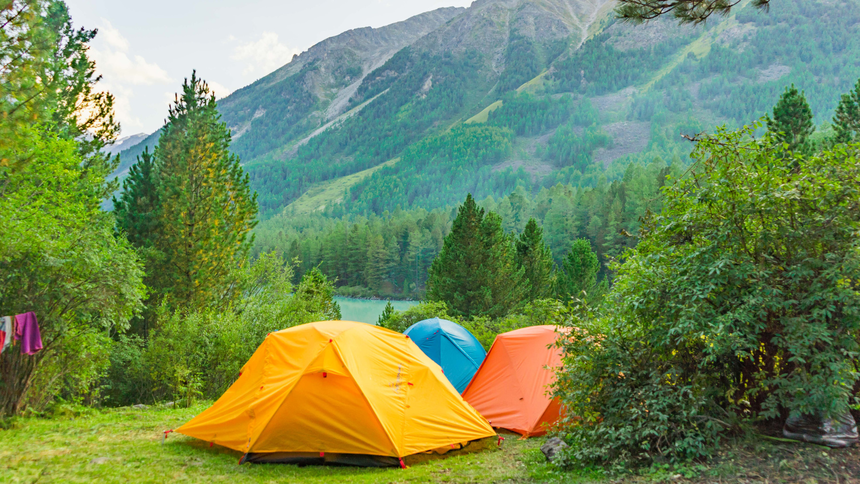 Треккинг к подножию Белухи налегке, с конным сопровождением (27/69)