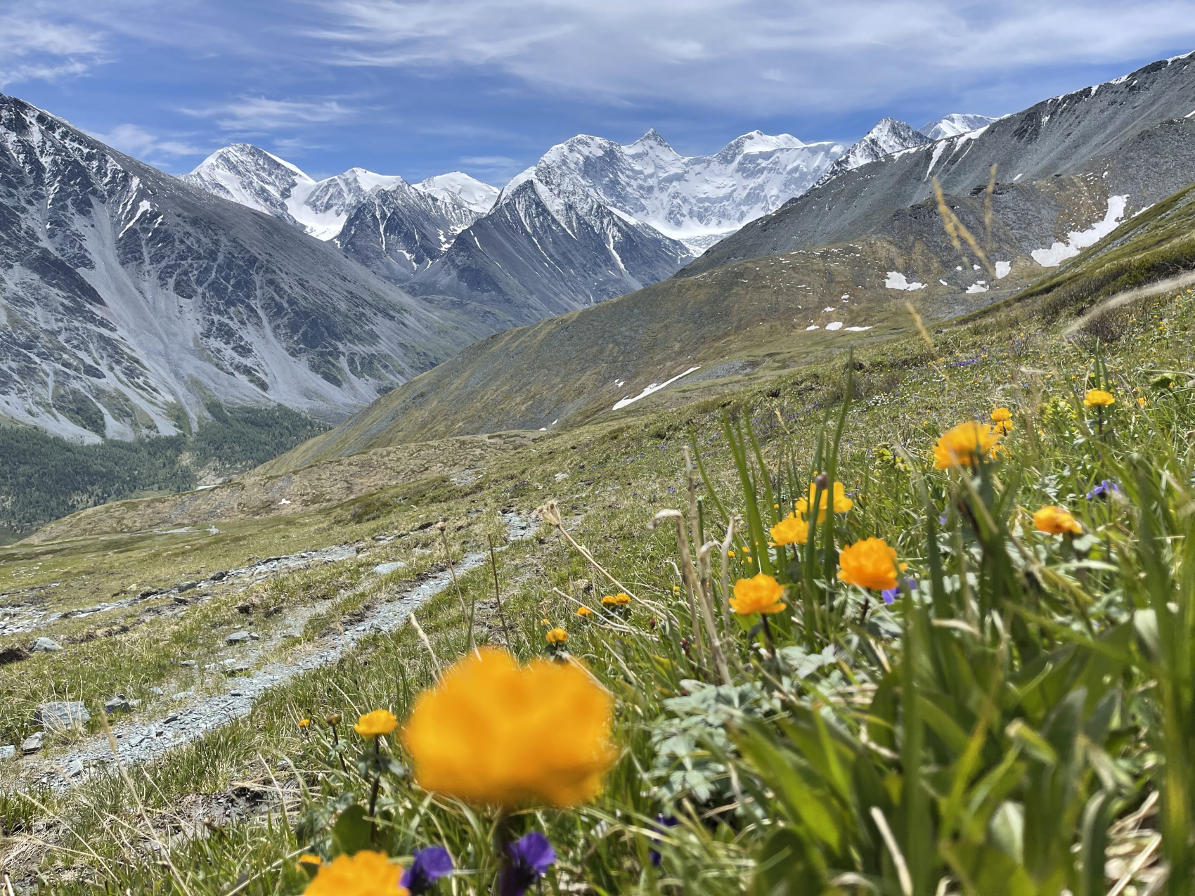 Треккинг к подножию Белухи налегке, с конным сопровождением (5/69)
