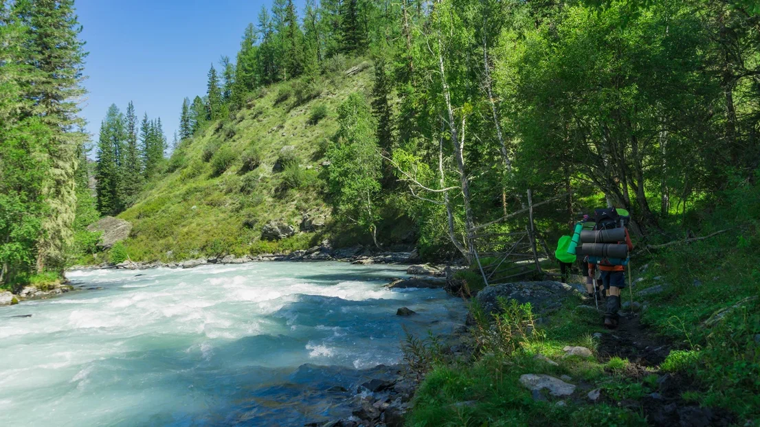 Треккинг к подножию Белухи налегке, с конным сопровождением (39/69)