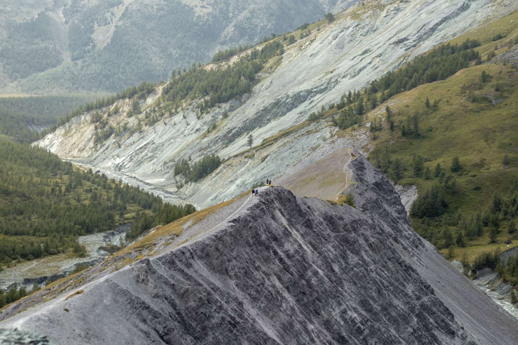 Треккинг к подножию Белухи налегке, с конным сопровождением (29/69)