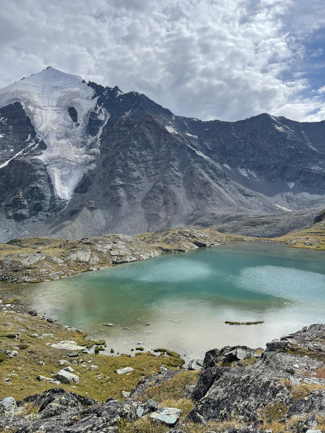 Треккинг к подножию Белухи налегке, с конным сопровождением (6/69)