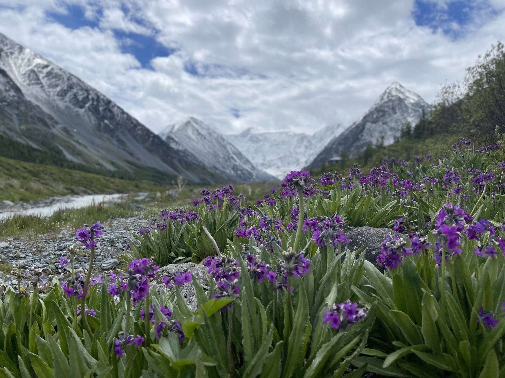 Треккинг к подножию Белухи налегке, с конным сопровождением (2/69)