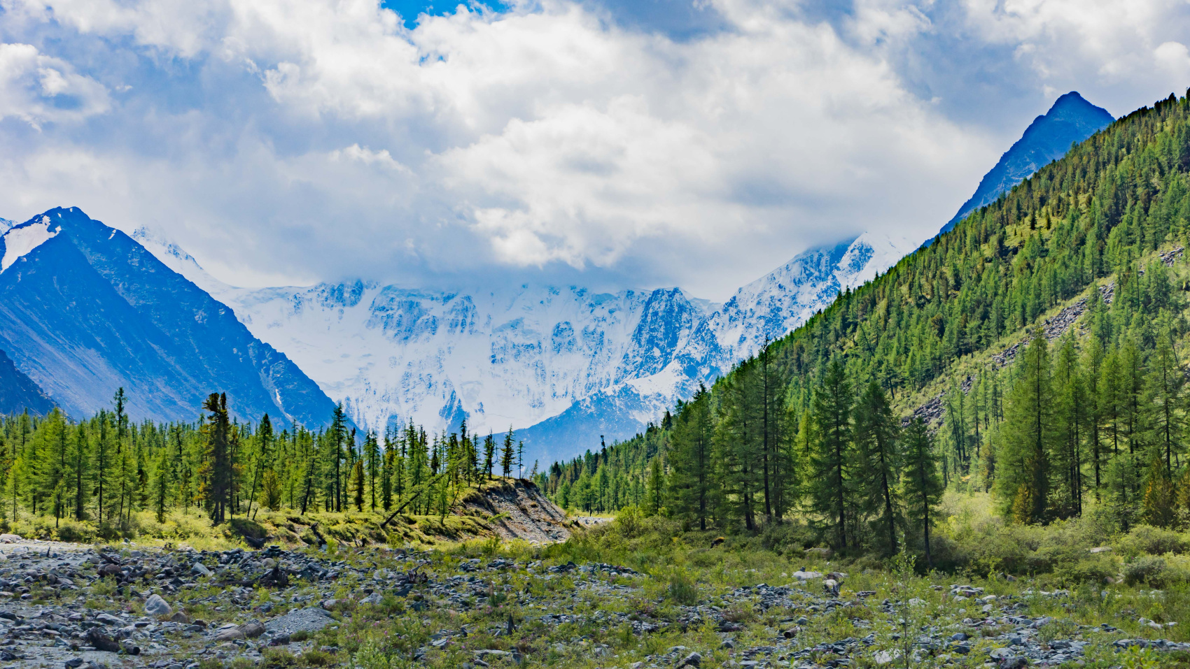 Треккинг к подножию Белухи налегке, с конным сопровождением (12/69)