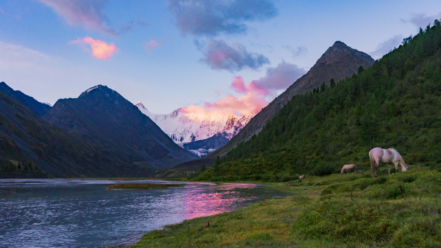 Треккинг к подножию Белухи налегке, с конным сопровождением (14/69)