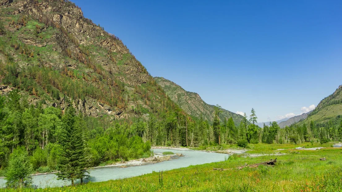 Треккинг к подножию Белухи налегке, с конным сопровождением (40/69)