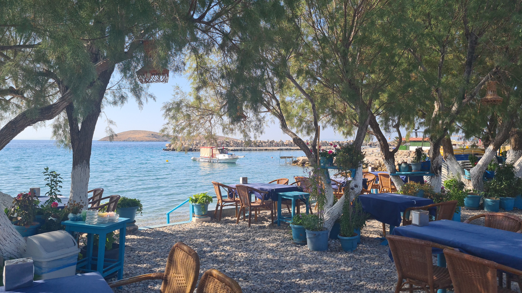 Авторский тур из Орхании до Книдоса и обратно.Турция. (20/79)