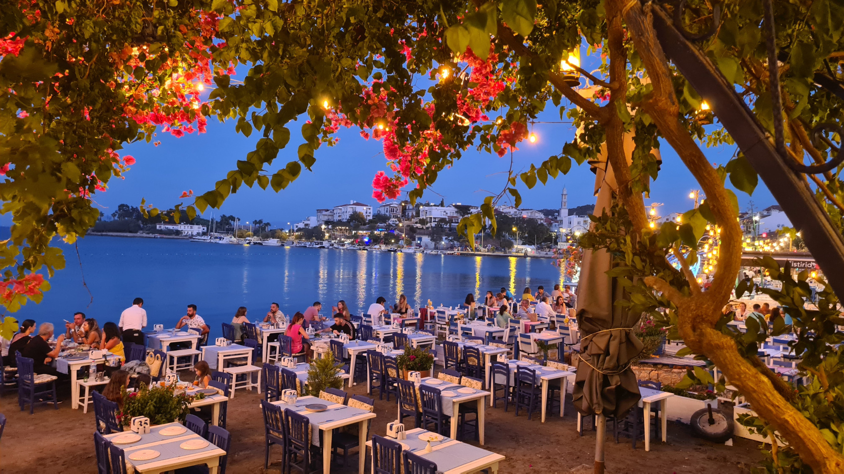 Авторский тур из Орхании до Книдоса и обратно.Турция. (16/79)