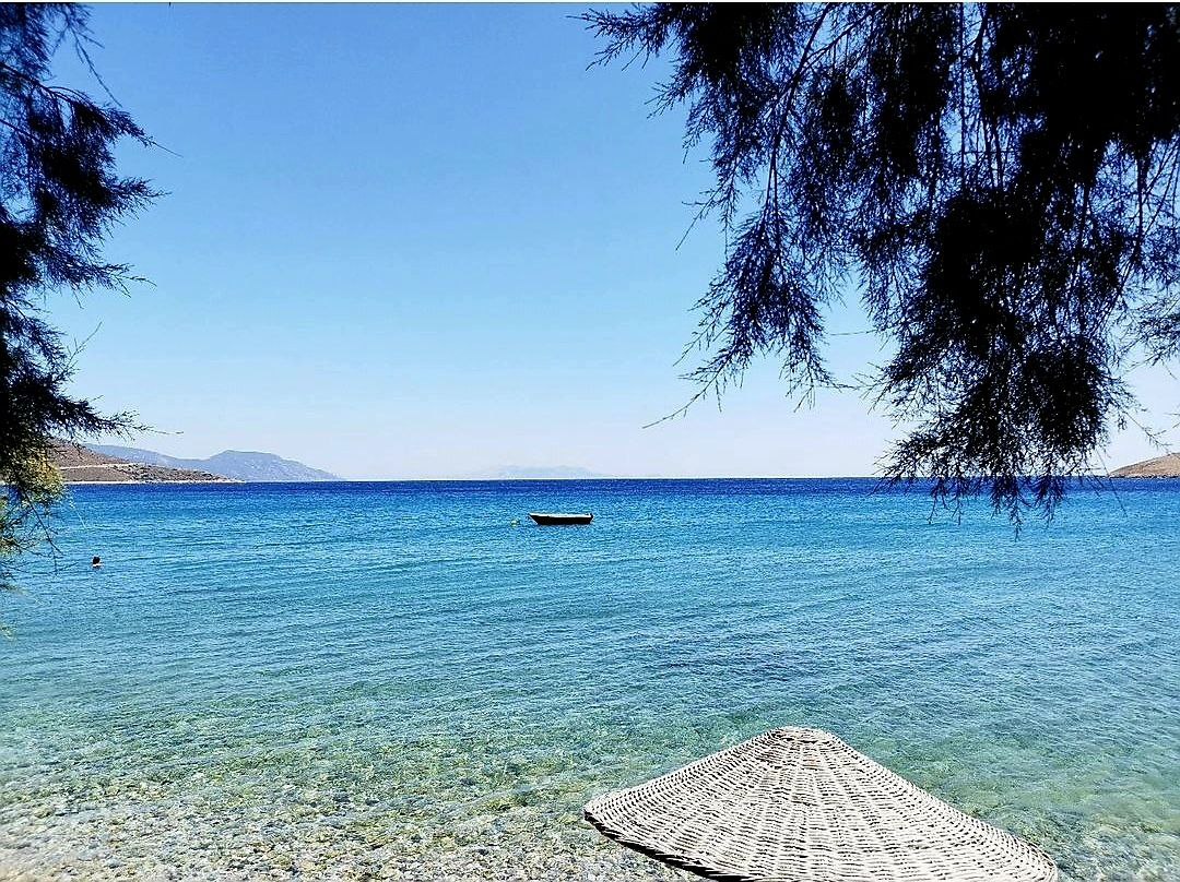 Авторский тур из Орхании до Книдоса и обратно.Турция. (48/79)