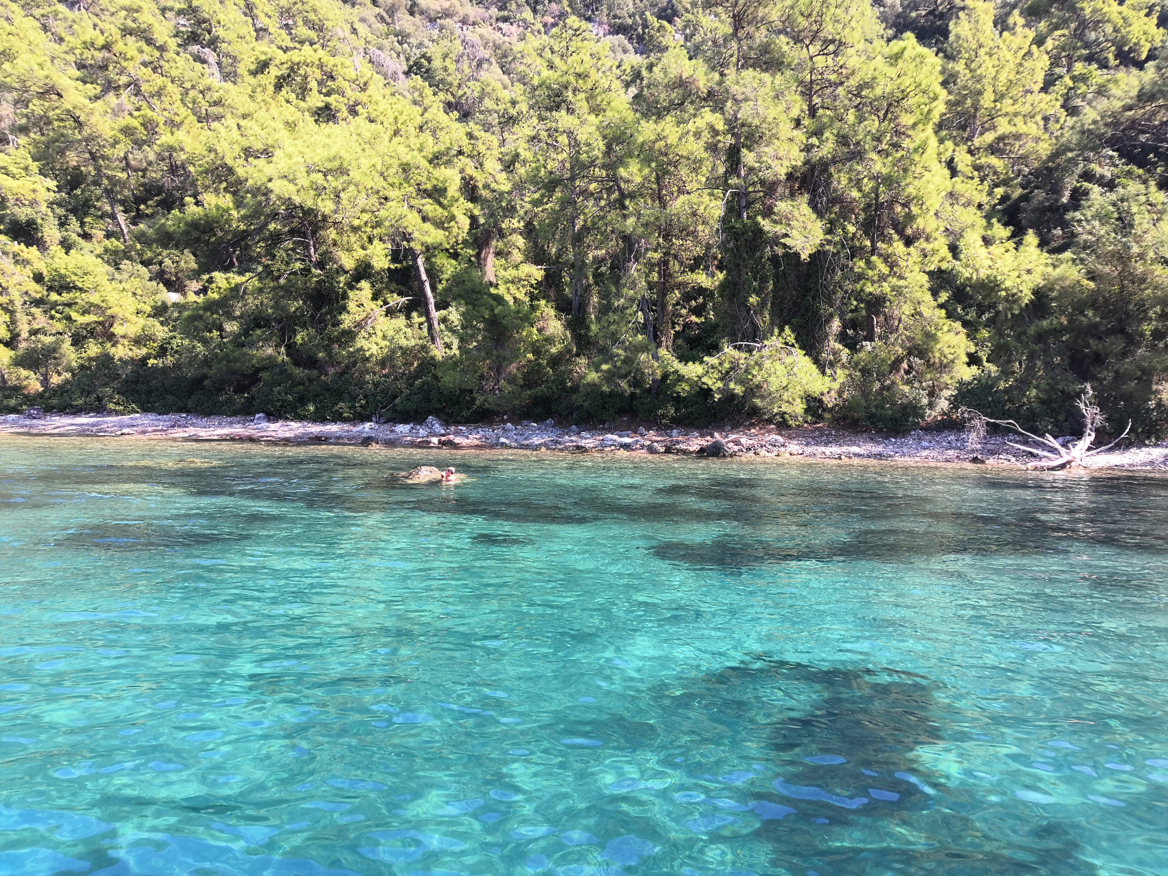 Авторский тур из Орхании до Книдоса и обратно.Турция. (25/79)