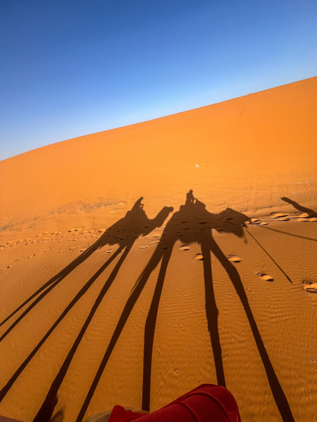 Марокко.Полное Погружение! 9дней. (26/79)