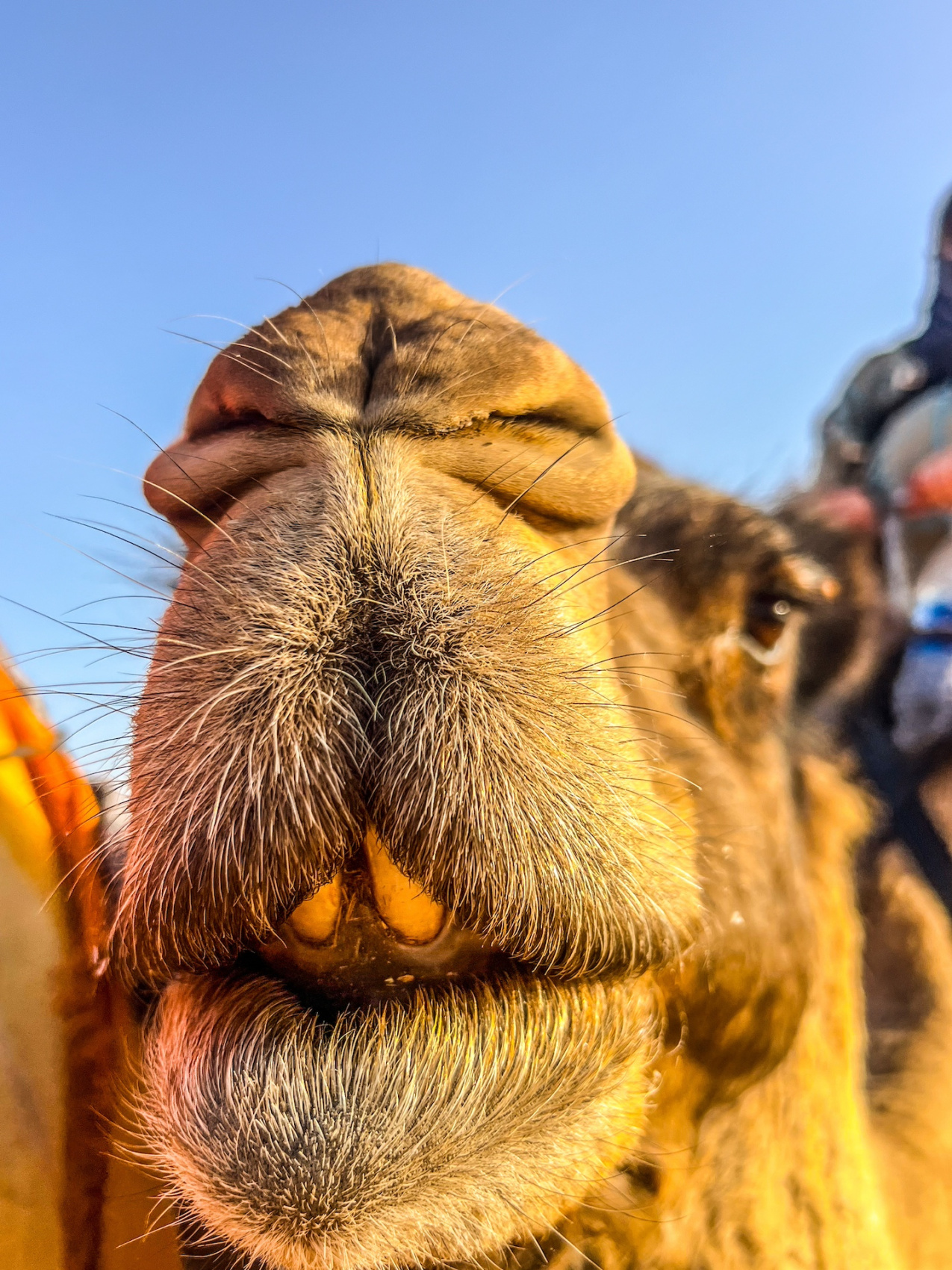 Марокко.Полное Погружение! 9дней. (23/79)