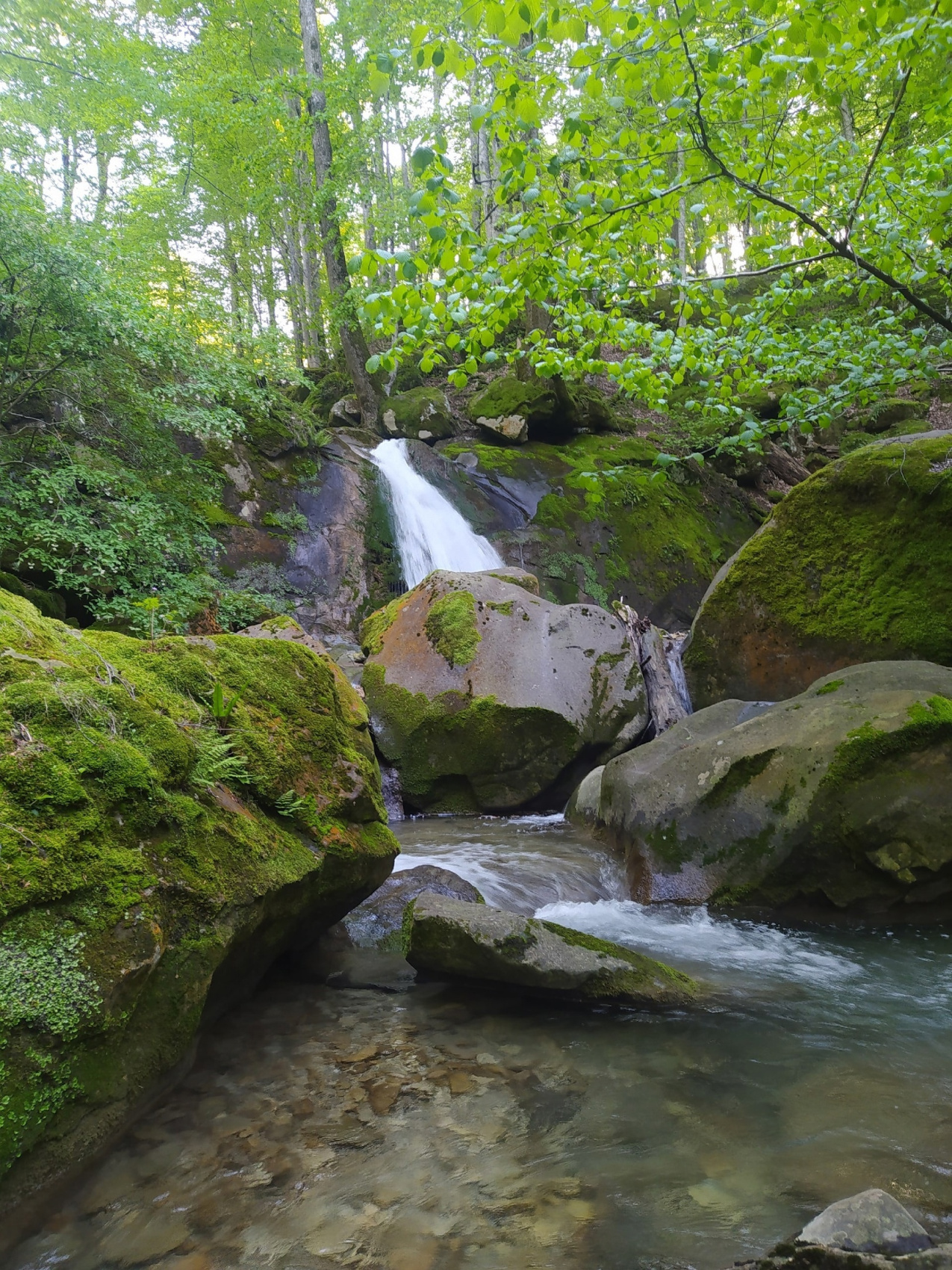 По горам из Краснодара в Геленджик (18/31)