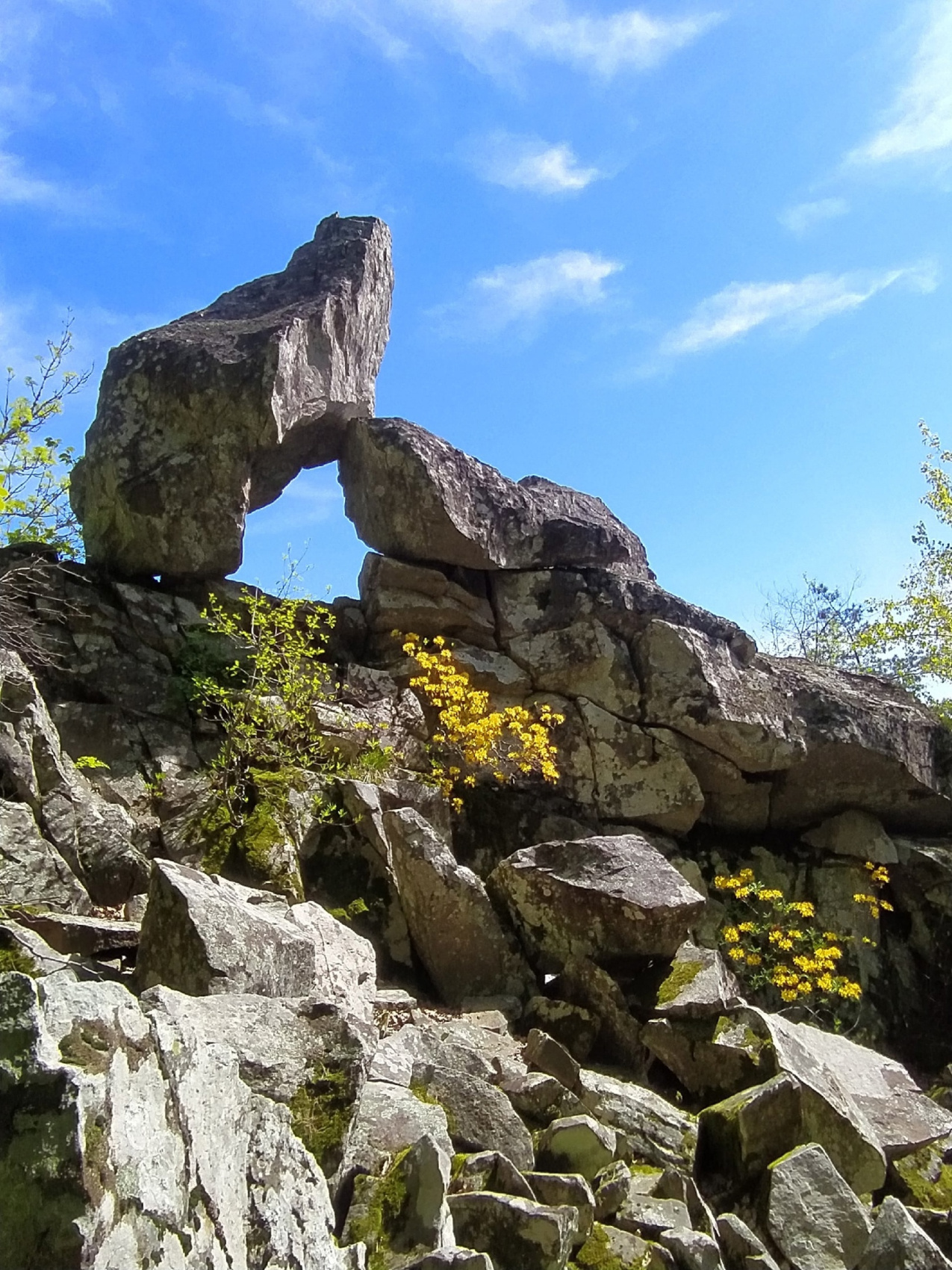 По горам из Краснодара в Геленджик (19/31)