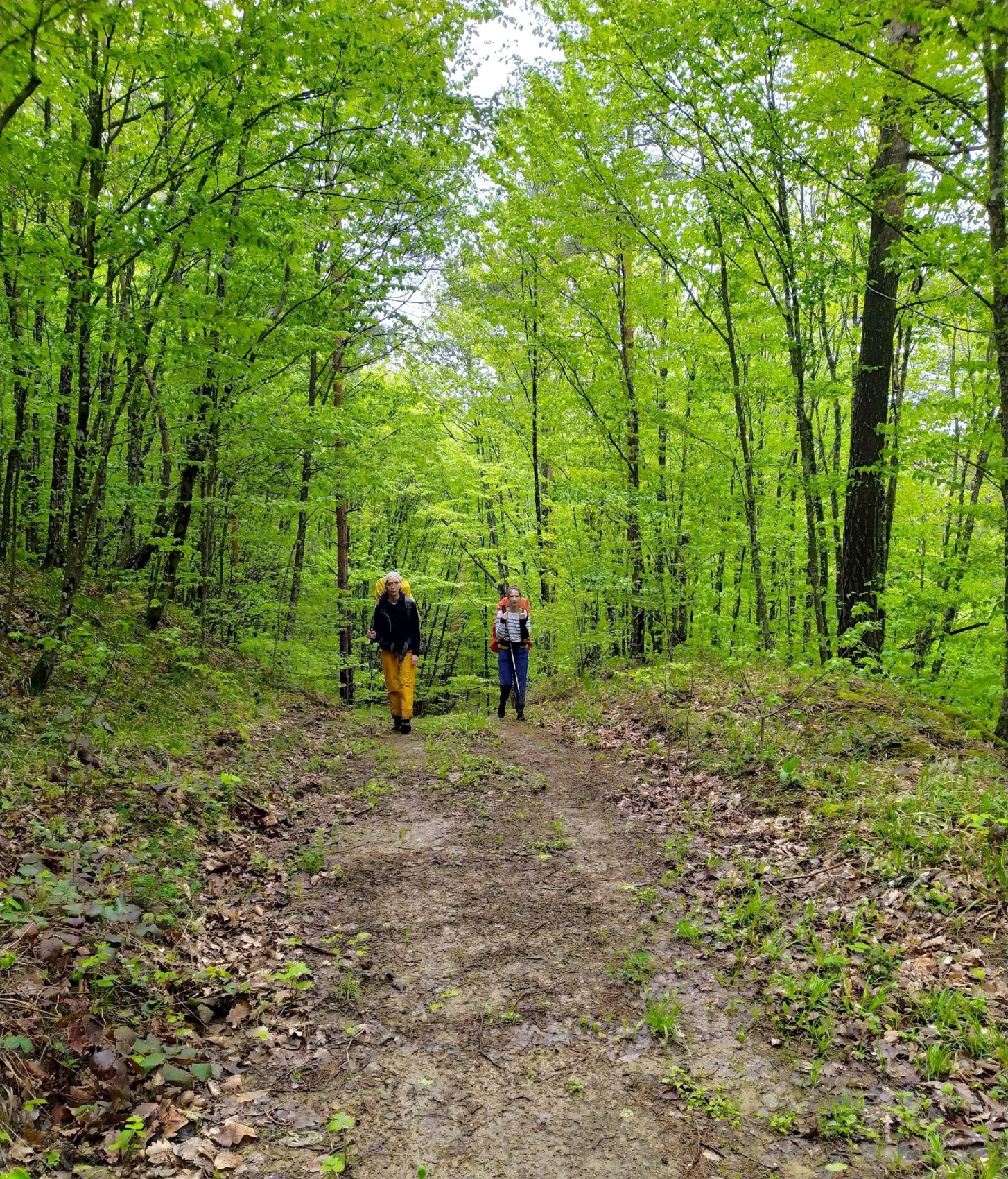 По горам из Краснодара в Геленджик (8/31)