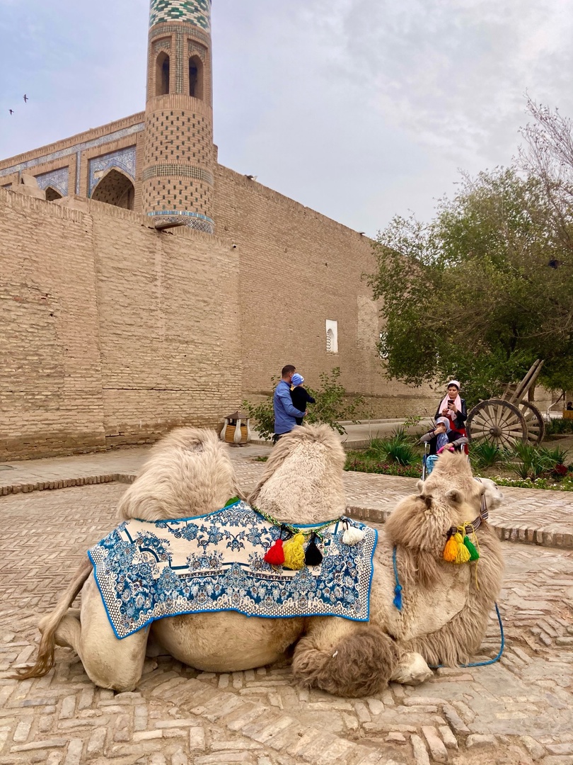 Узбекистан вдоль и поперек - этнографическая экспедиция (9 дней) (9/44)