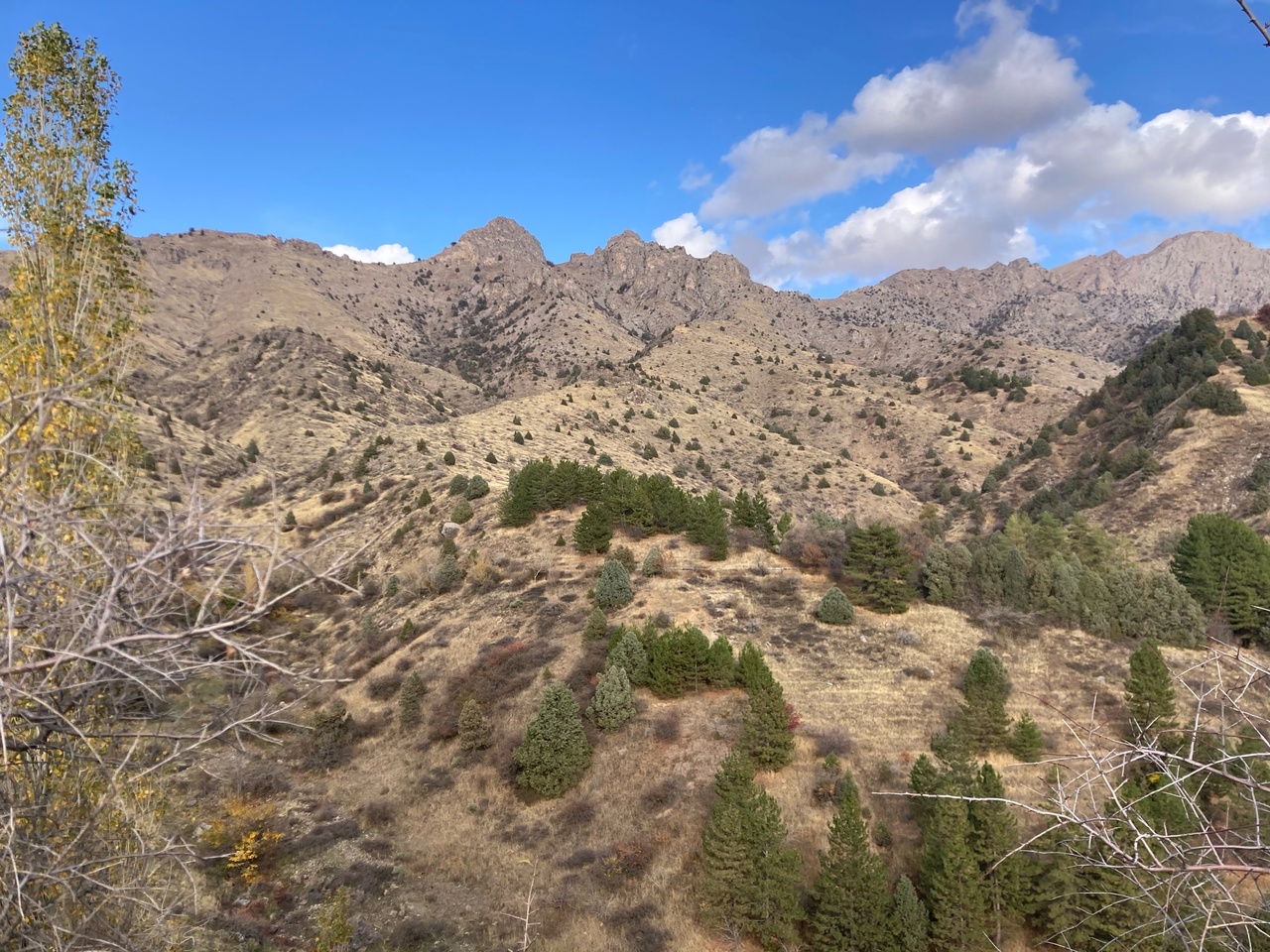 Узбекистан вдоль и поперек - этнографическая экспедиция (9 дней) (11/44)